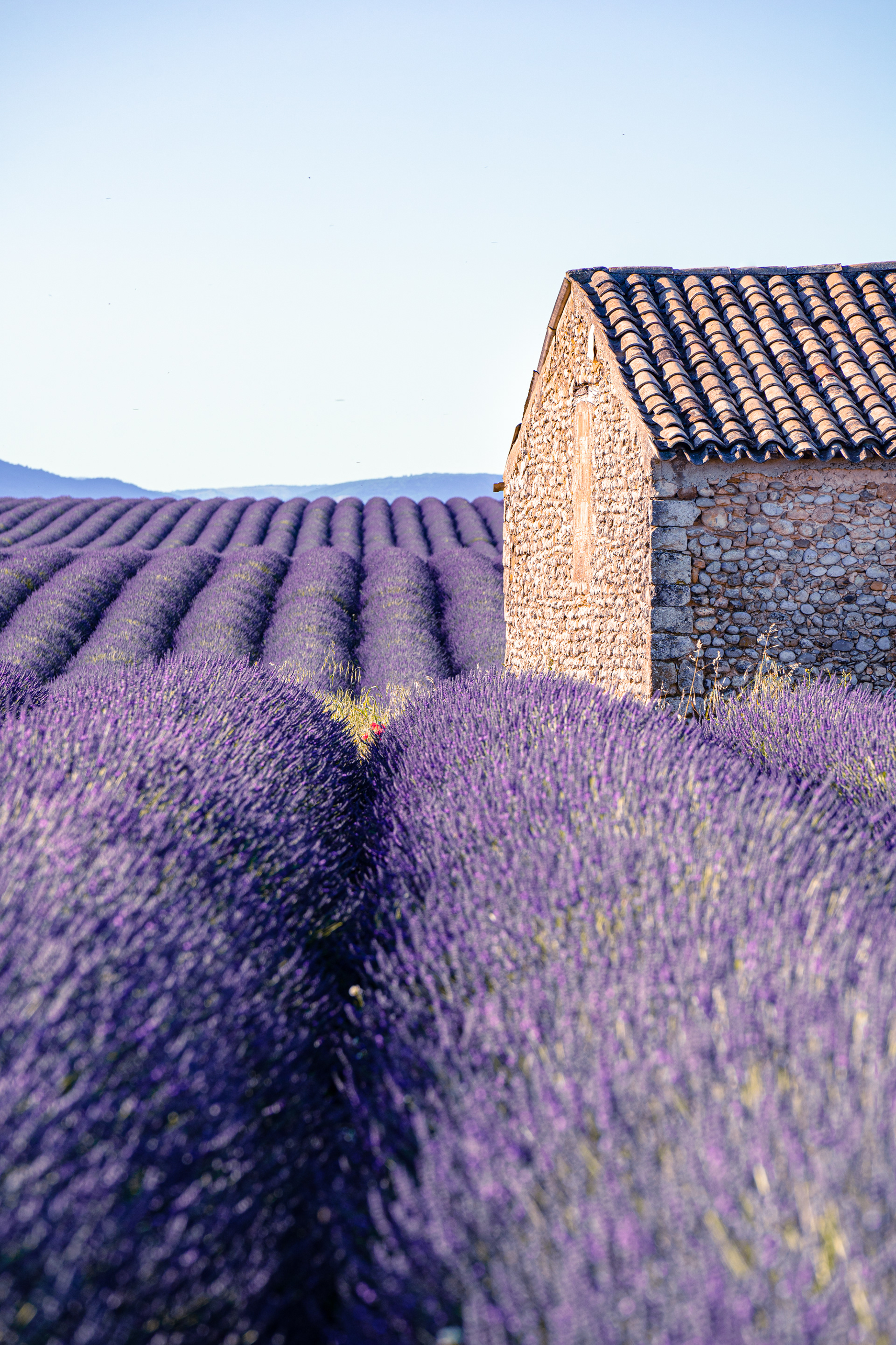 Provence, 2020