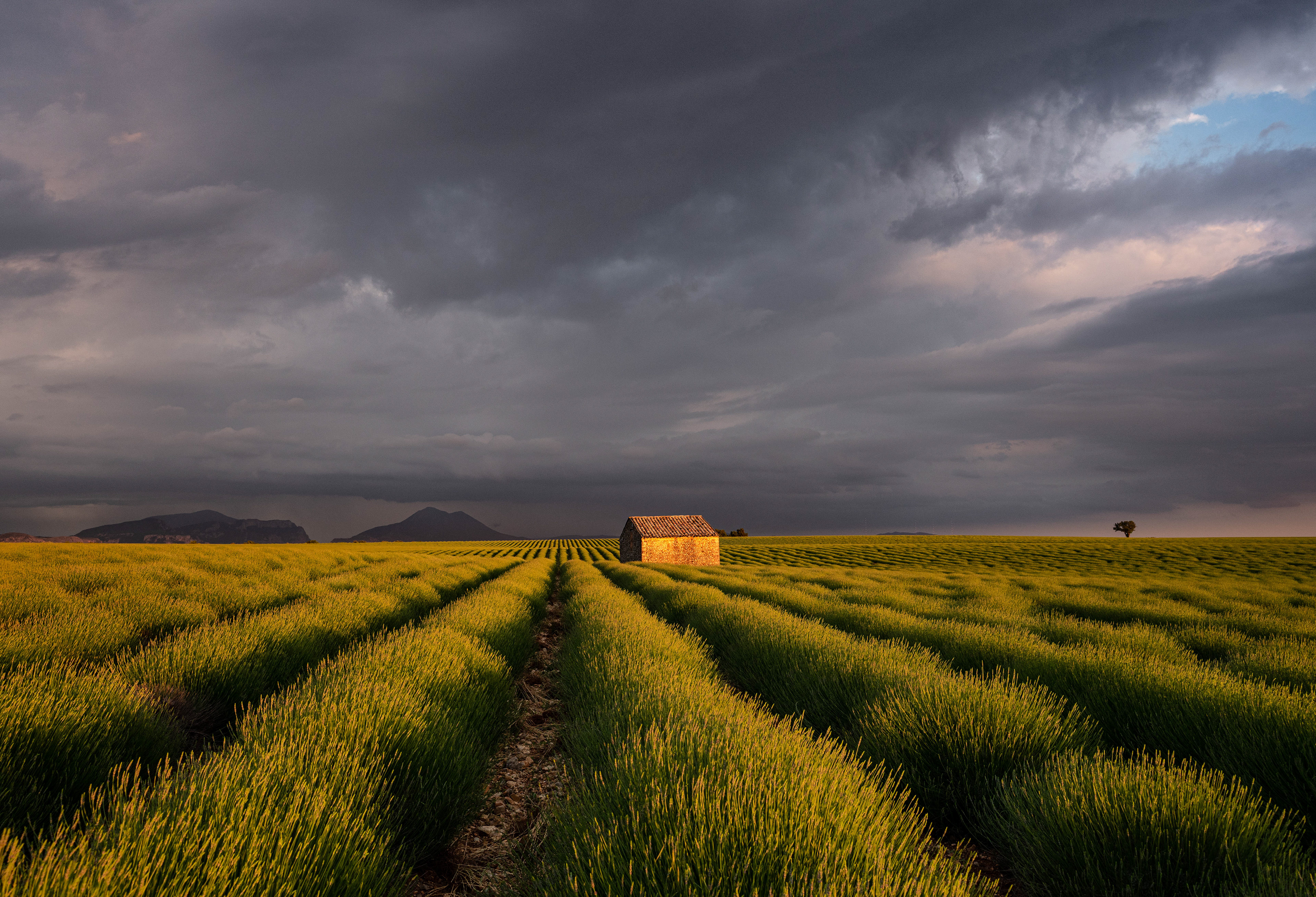 Provence, 2020