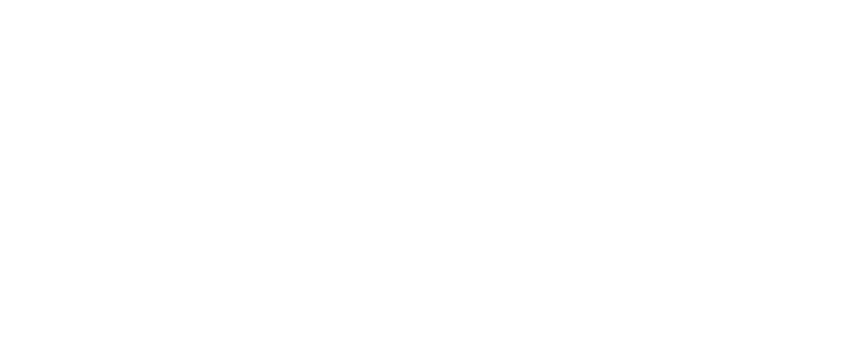 Диана Шевчик