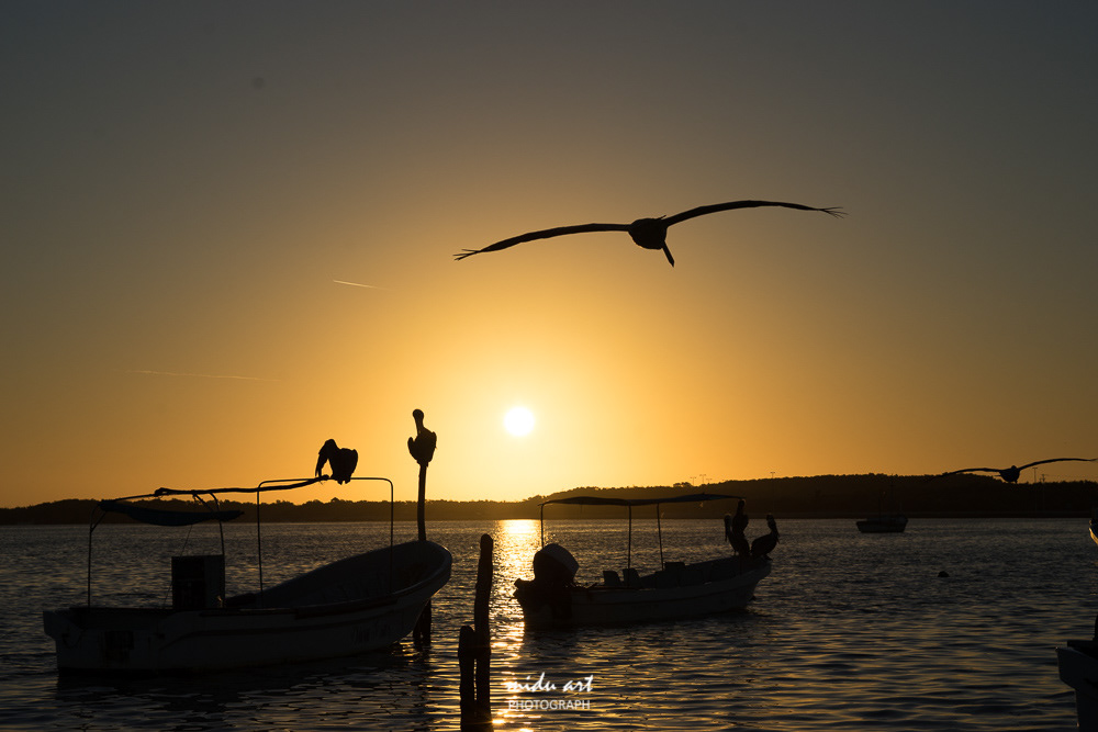 midu.art Photograph and videograph. The idea and concept of MIDU.ART was born in Berlin and constructs routes to relive the actual roots of original photography. The most important and attention catching factor of MIDU.ART is originality and rawness photos.