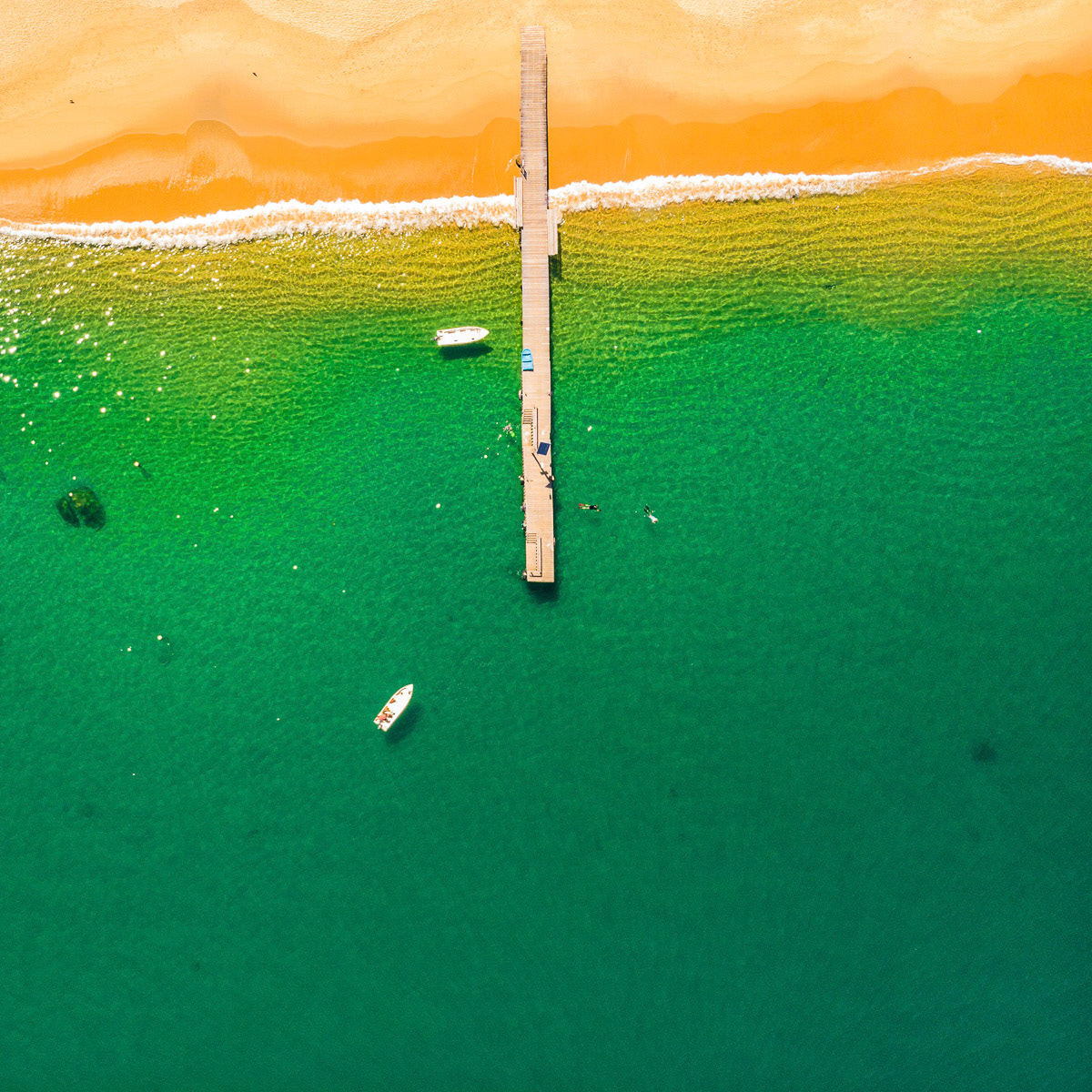 Verde e Amarelo 2 (Praia de Araçatiba - Ilha Grande - RJ)