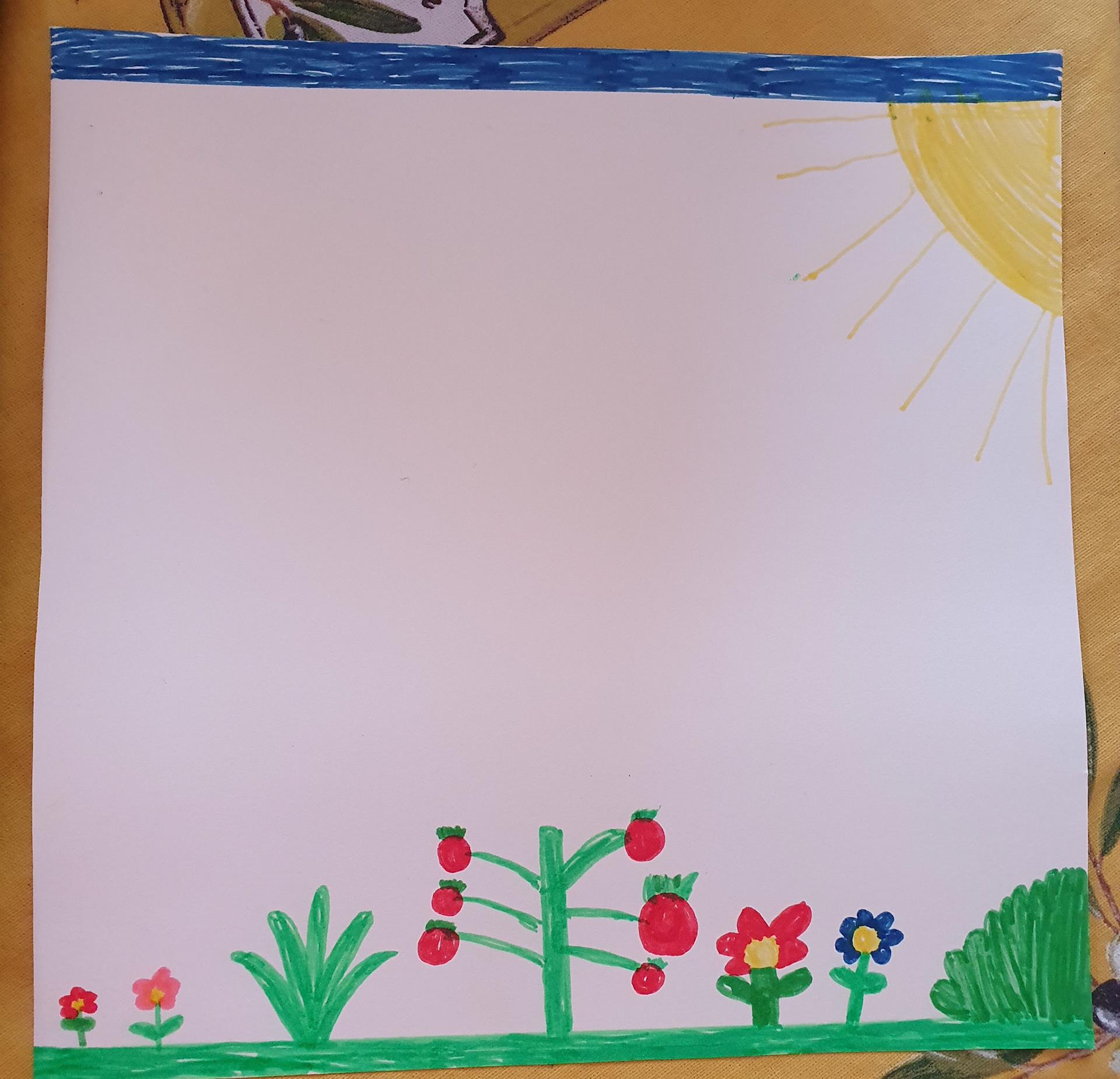 Olivia Fox Mahlhausen Rm 15