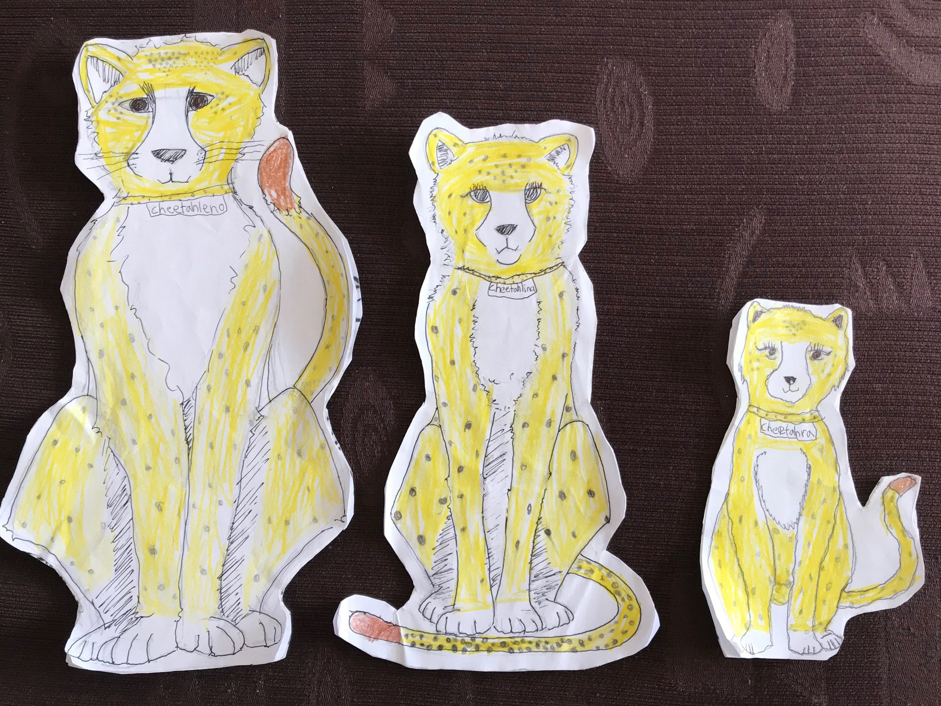 Catalina Fugon-Jara Rm 16