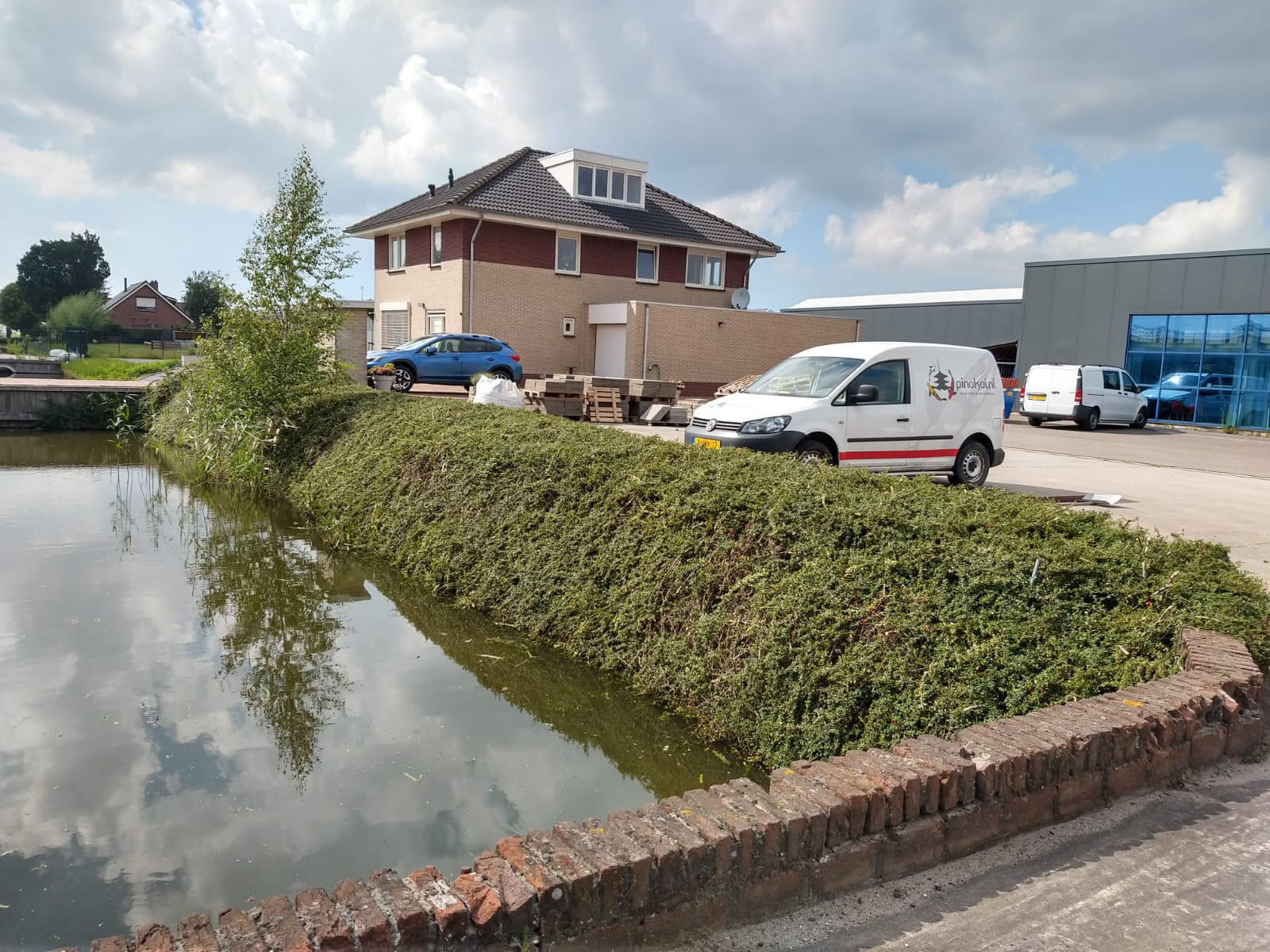 Foto 2: Eindresultaat Gesnoeide coteneaster