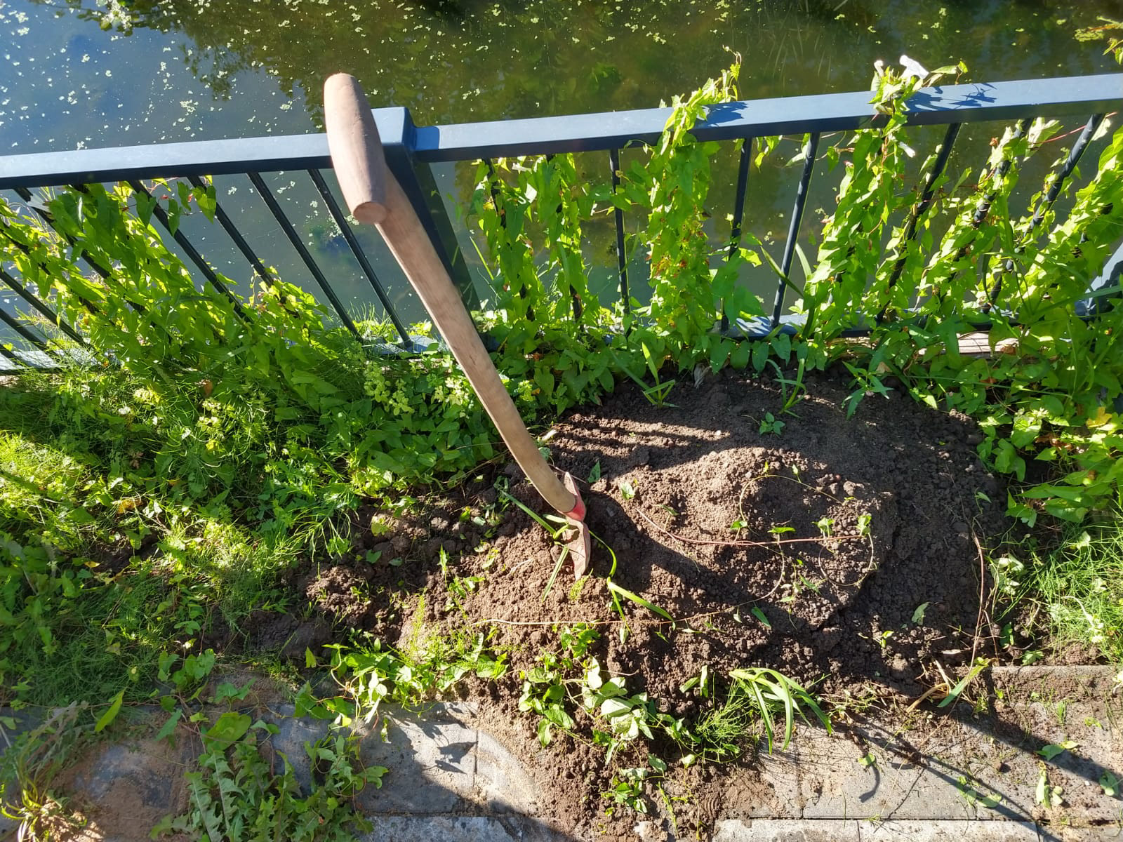 Foto 1: Verwijderen onkruid