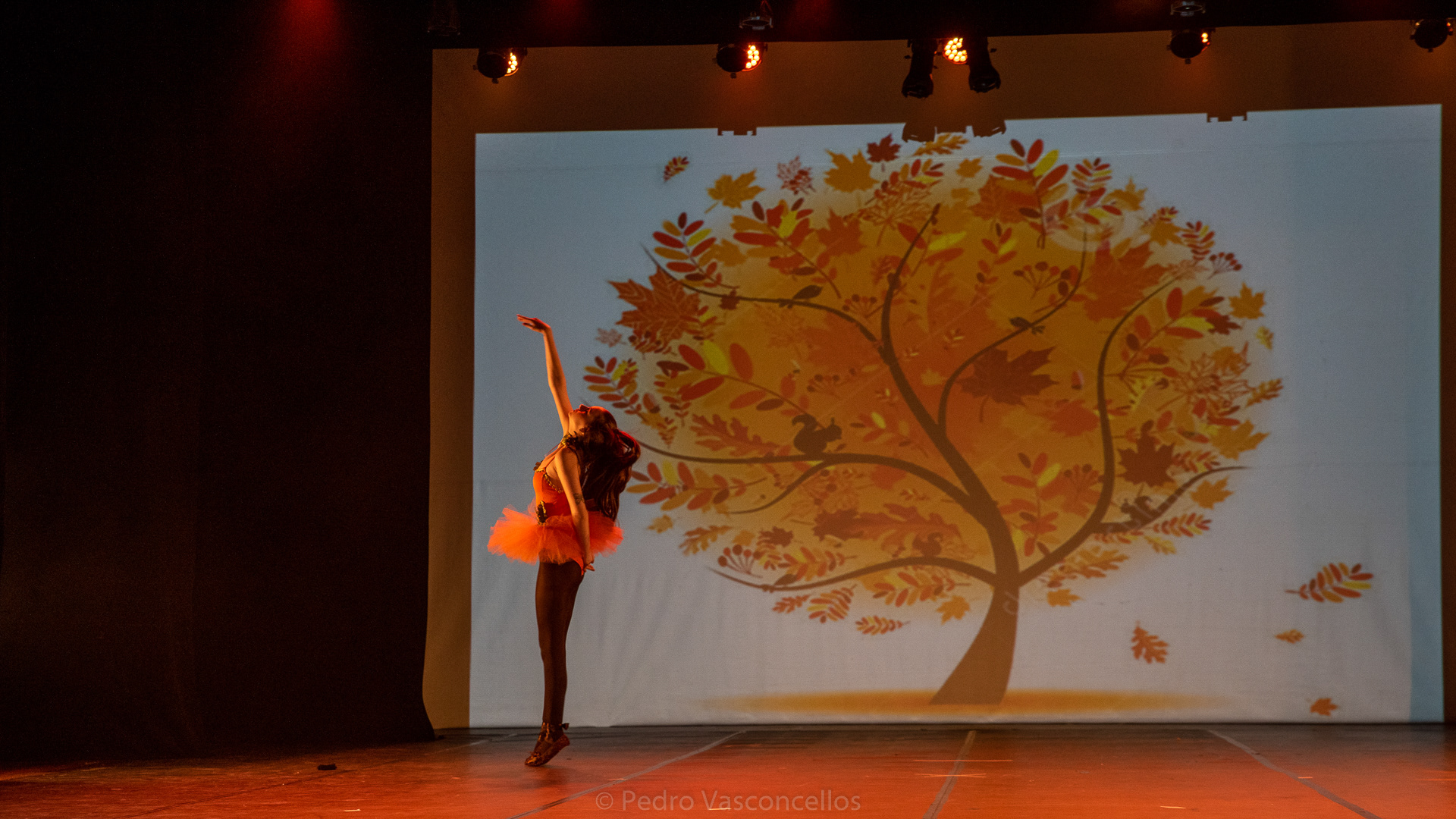 Espetáculo As Quatro Estações 2019 - Jaguariúna - SP