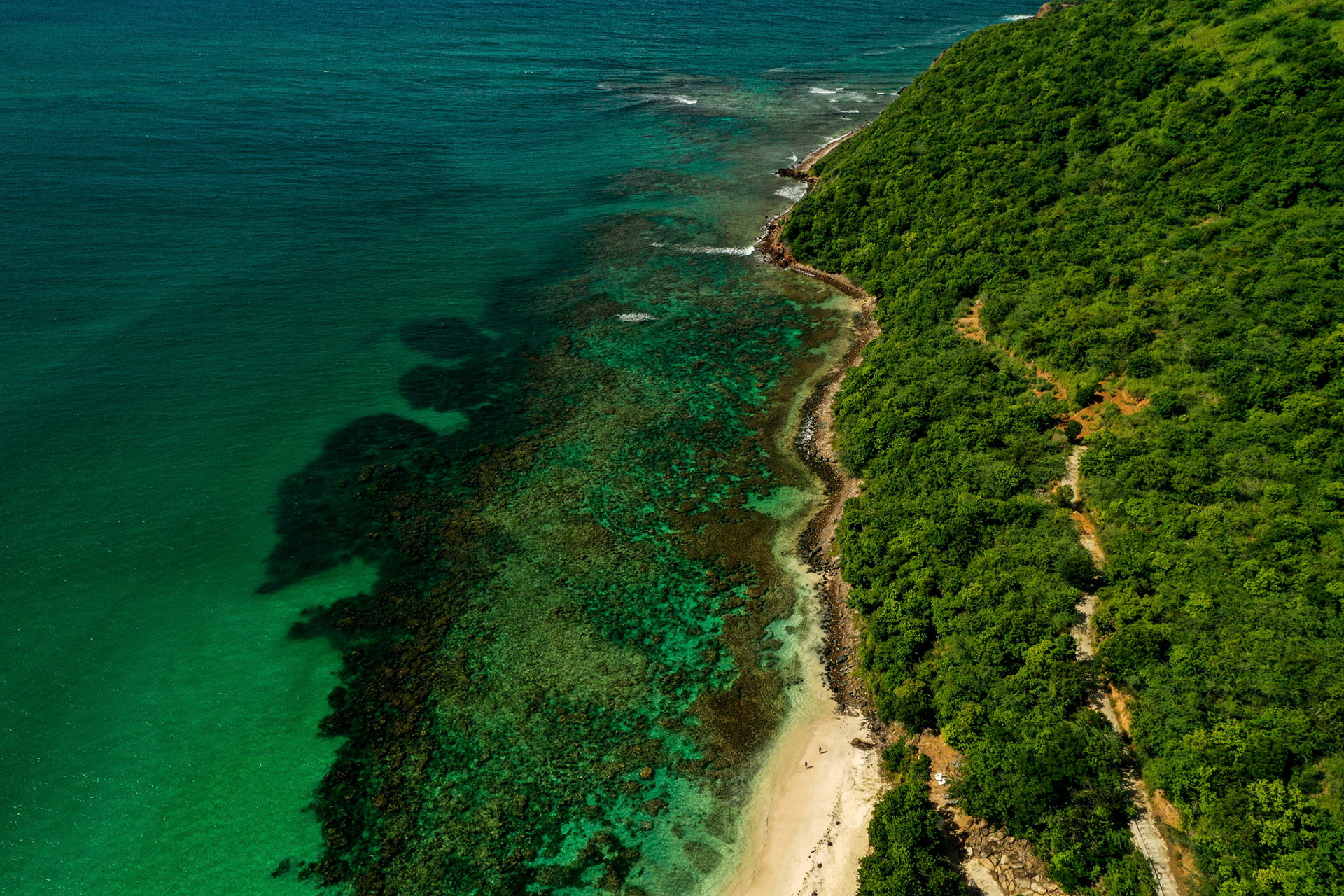 Playa de Flamenco, Culebra