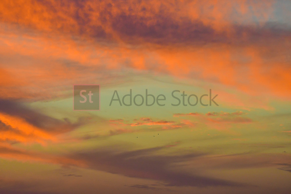 ADOBE FILE # 280083381