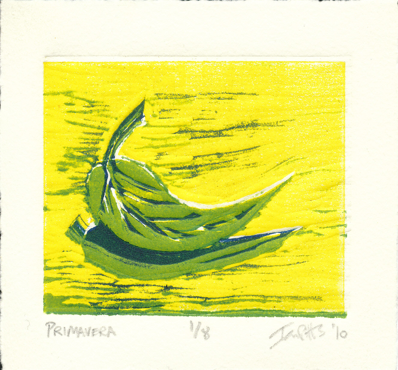"Primavera"