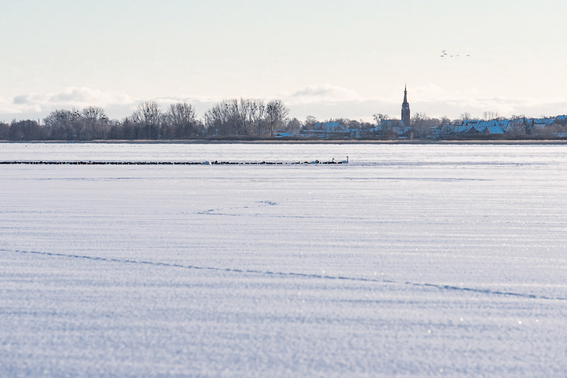 Ansicht aus Prenzlau