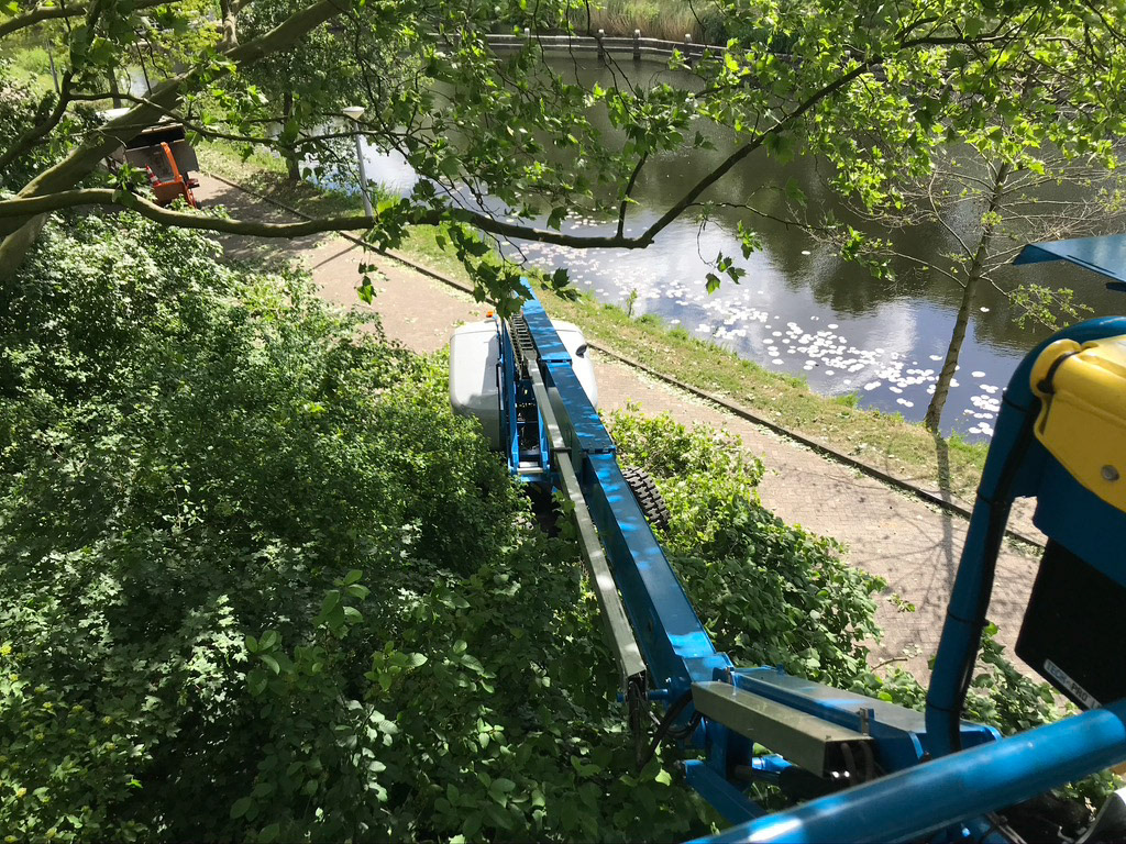 Snoeien met hoogwerker / Platform pruning