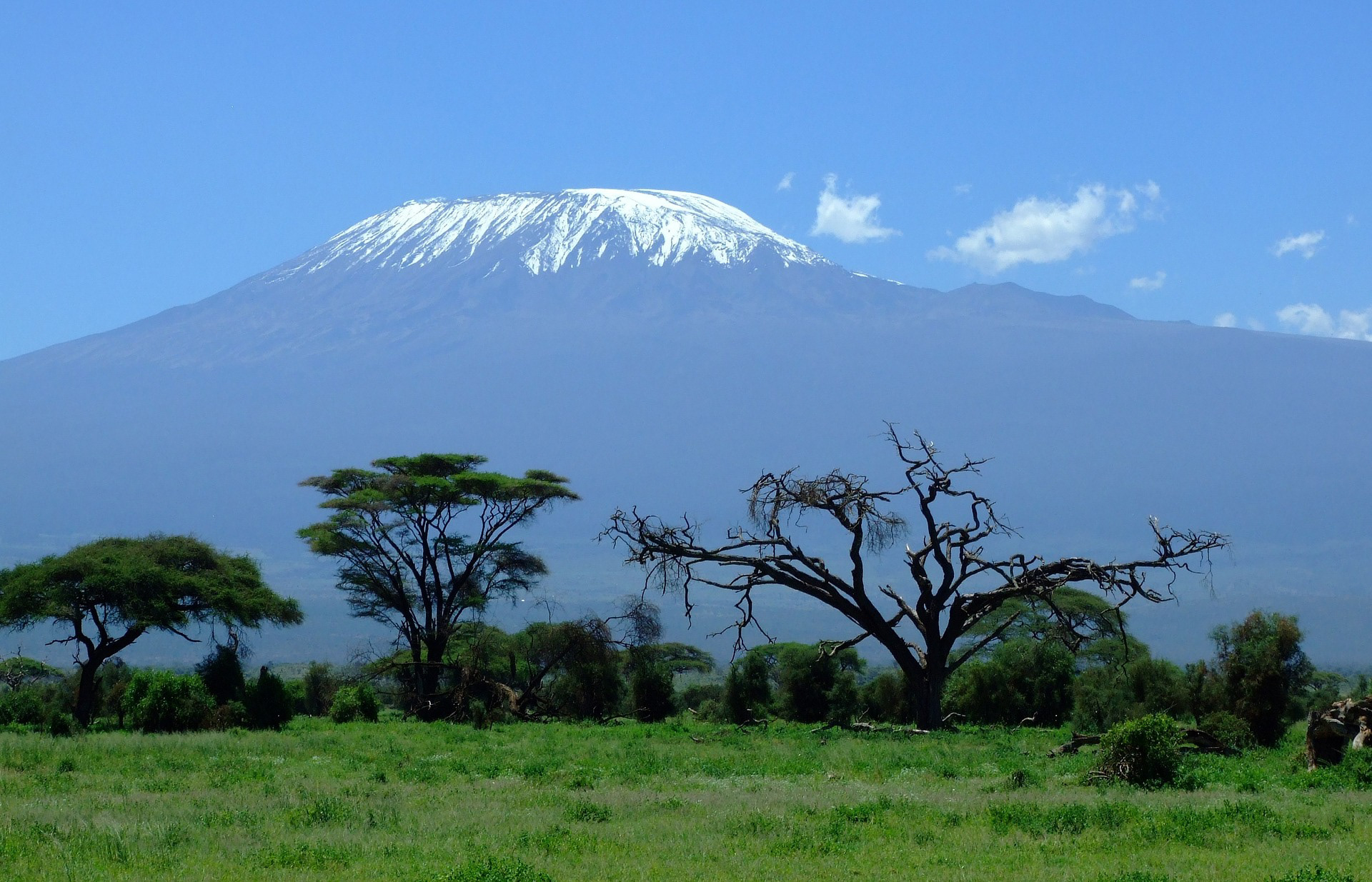 Africa Kilimanjaro Mountain in Kanye