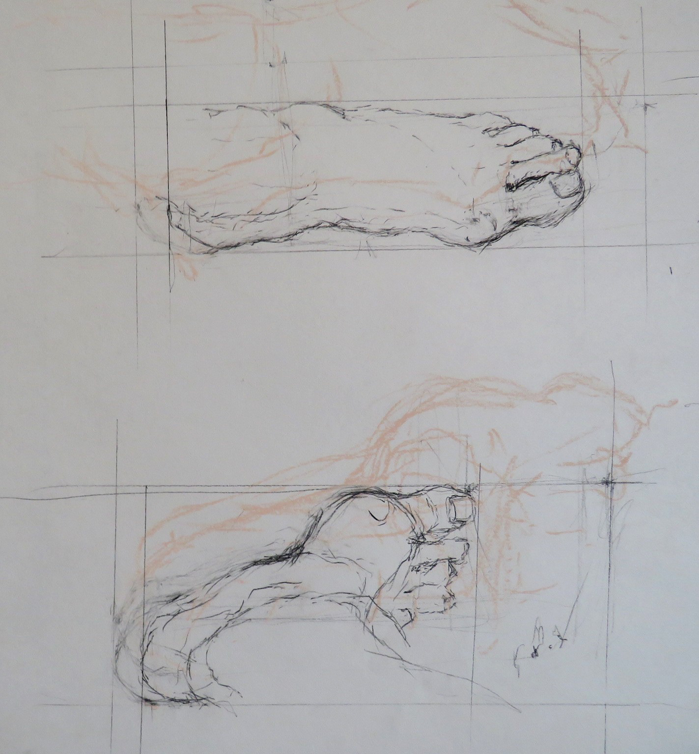 Feet Study