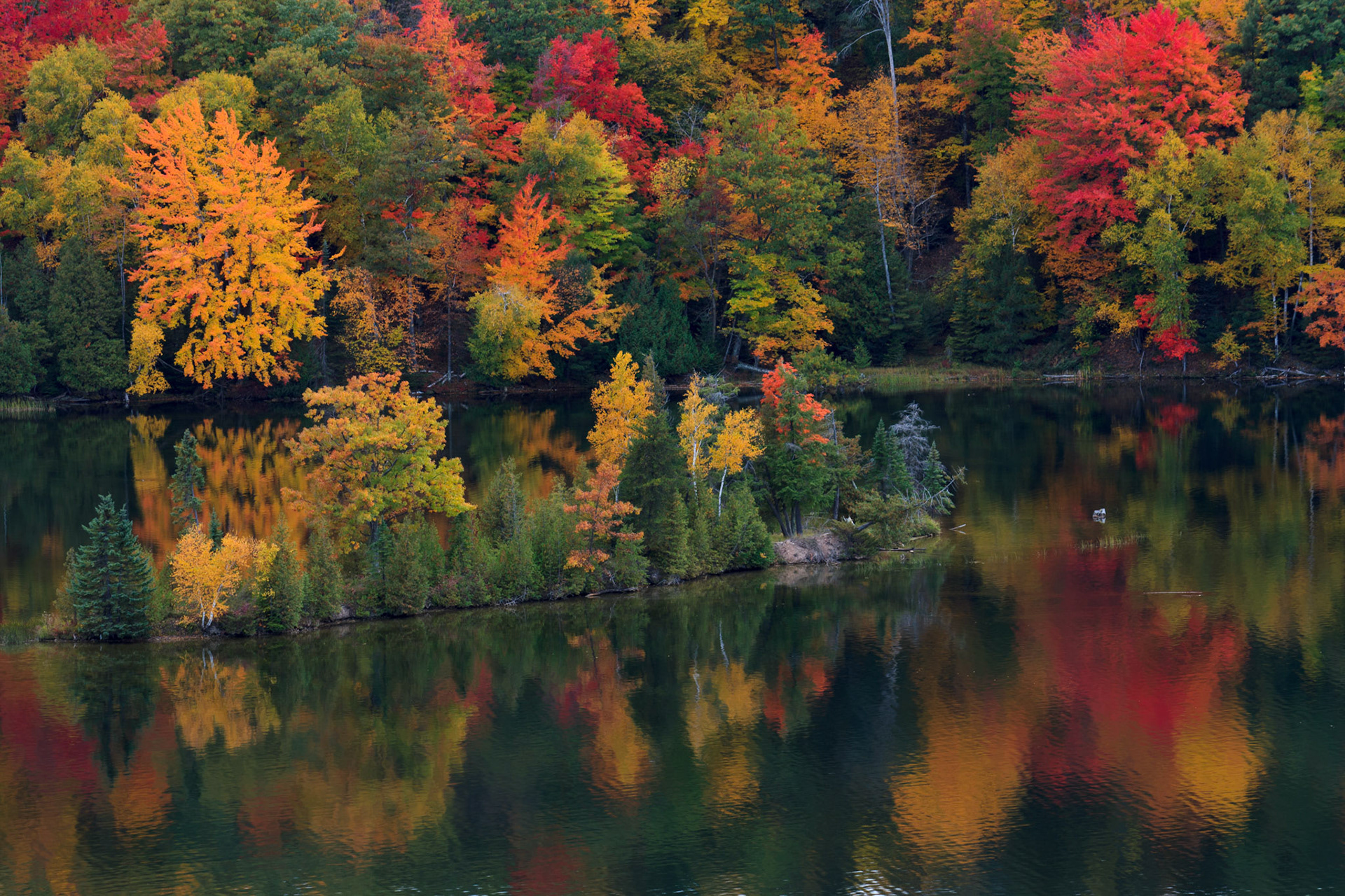Fall colors on the Au Sable River, Michigan
