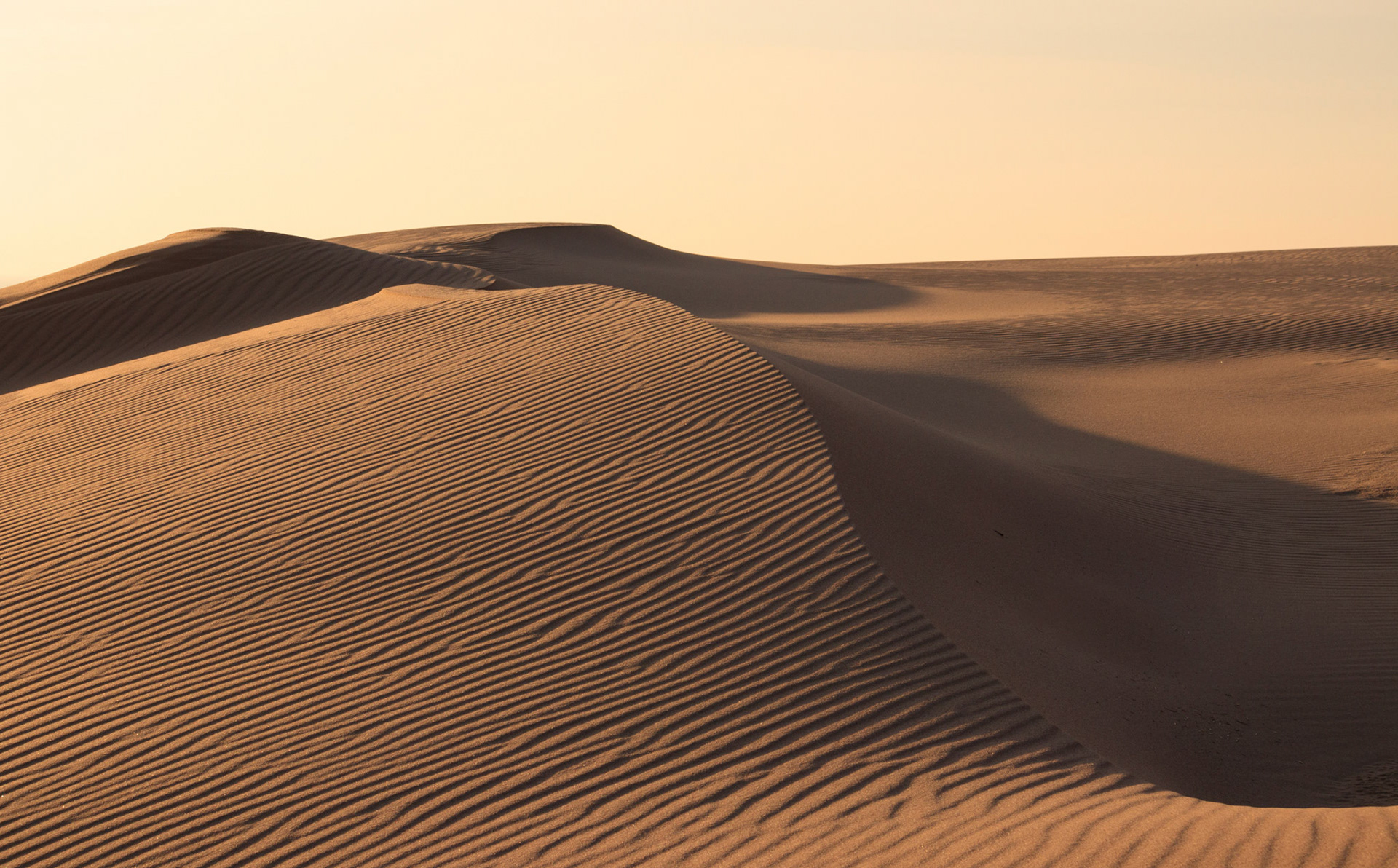 Contours of Silver Lake Sand Dunes, Silver Lake State Park, Michigan