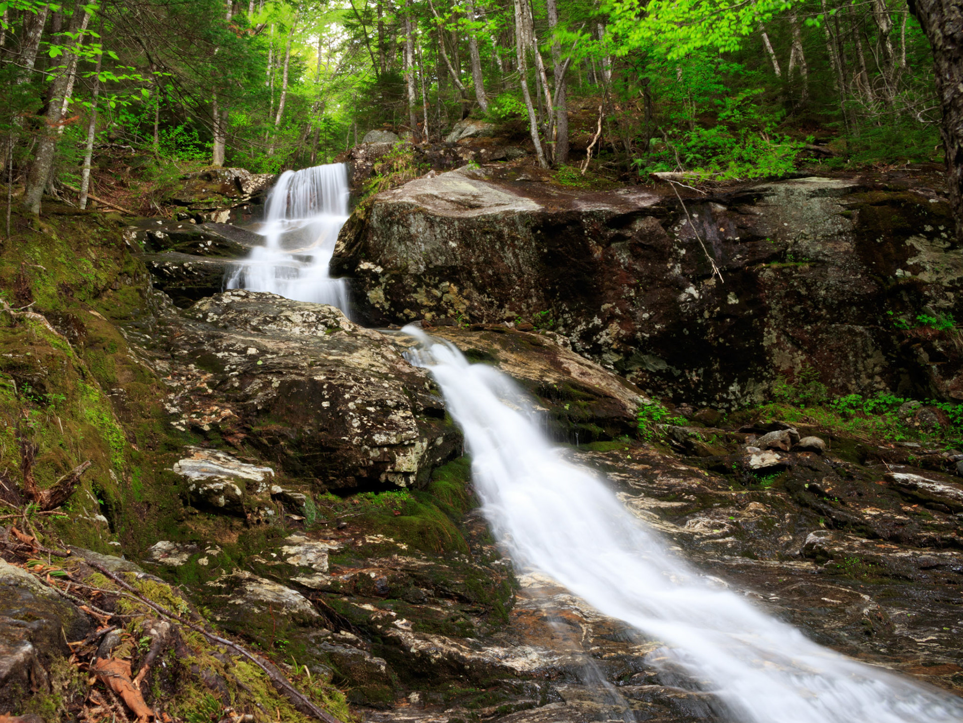 Lower Beaver Brook Cascade, Beaver Brook Trail, White Mountain National Forest, New Hampshire