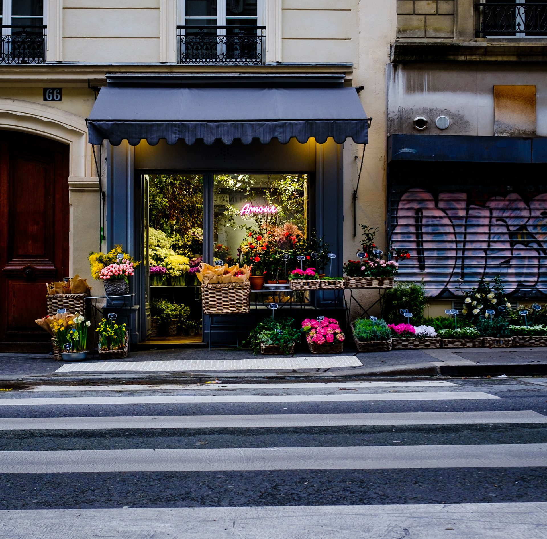 Außenansicht eines Blumenladens, am Straßenrand bei einem Zebrastreifen gelegen, Rochechouart, 9. Arrondissement, Paris, Frankreich
