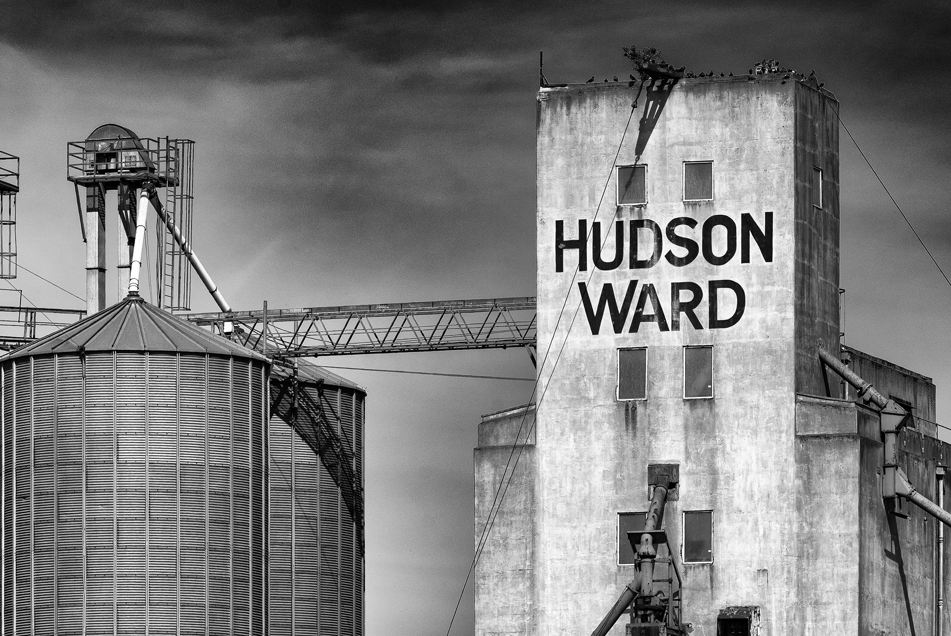 marcin noga, hackney, photograph, photographer, photography, London, studio, photo shoot, image, picture, fine, art, artist, British, award, winning, exhibition, editorial, uk, light, magazine, nikon, otus, lens, portfolio, interesting, street, town, building, best, architecture, urban, change, cityscape, industrial, commercial, gull, yorkshire, 