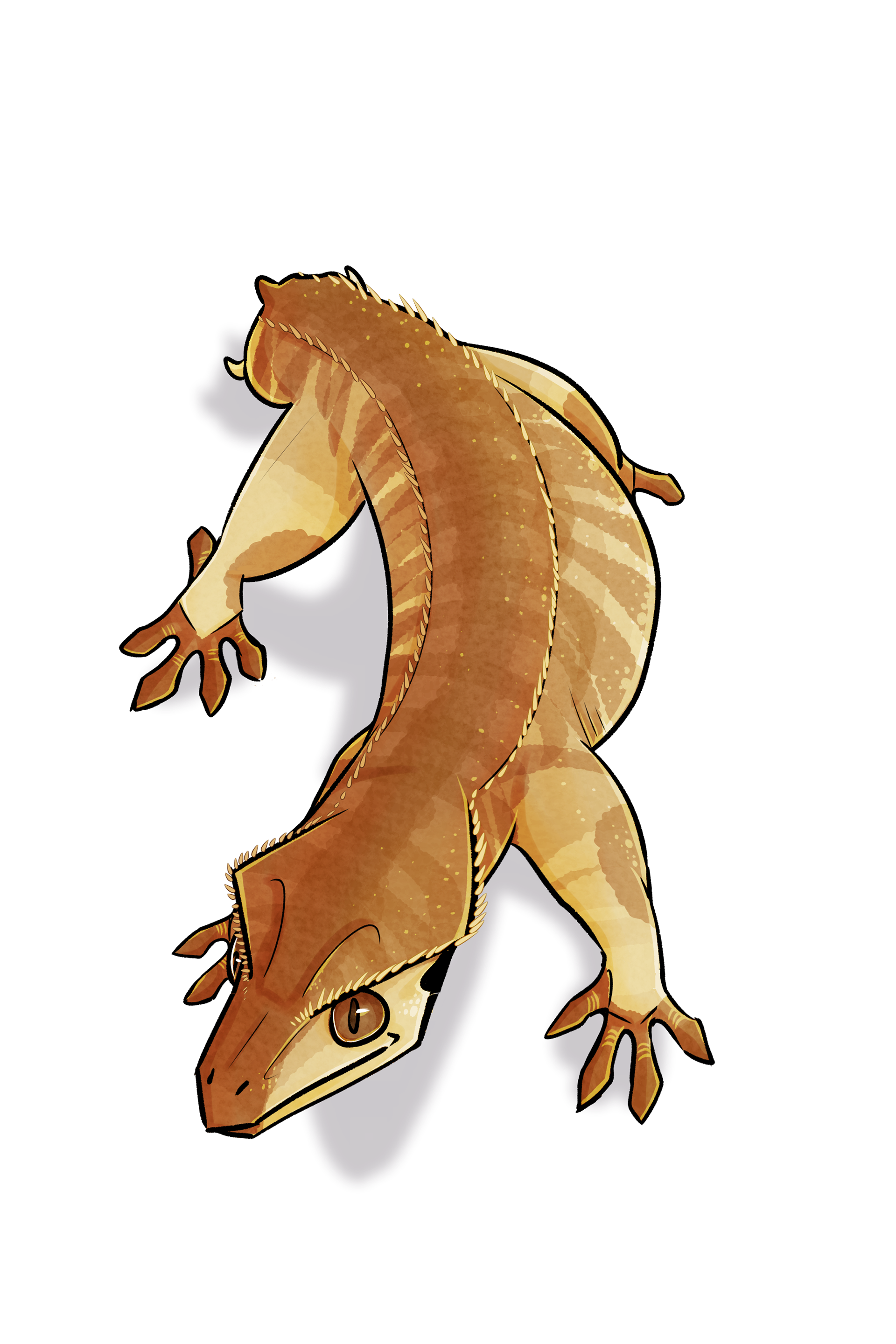 gecko!