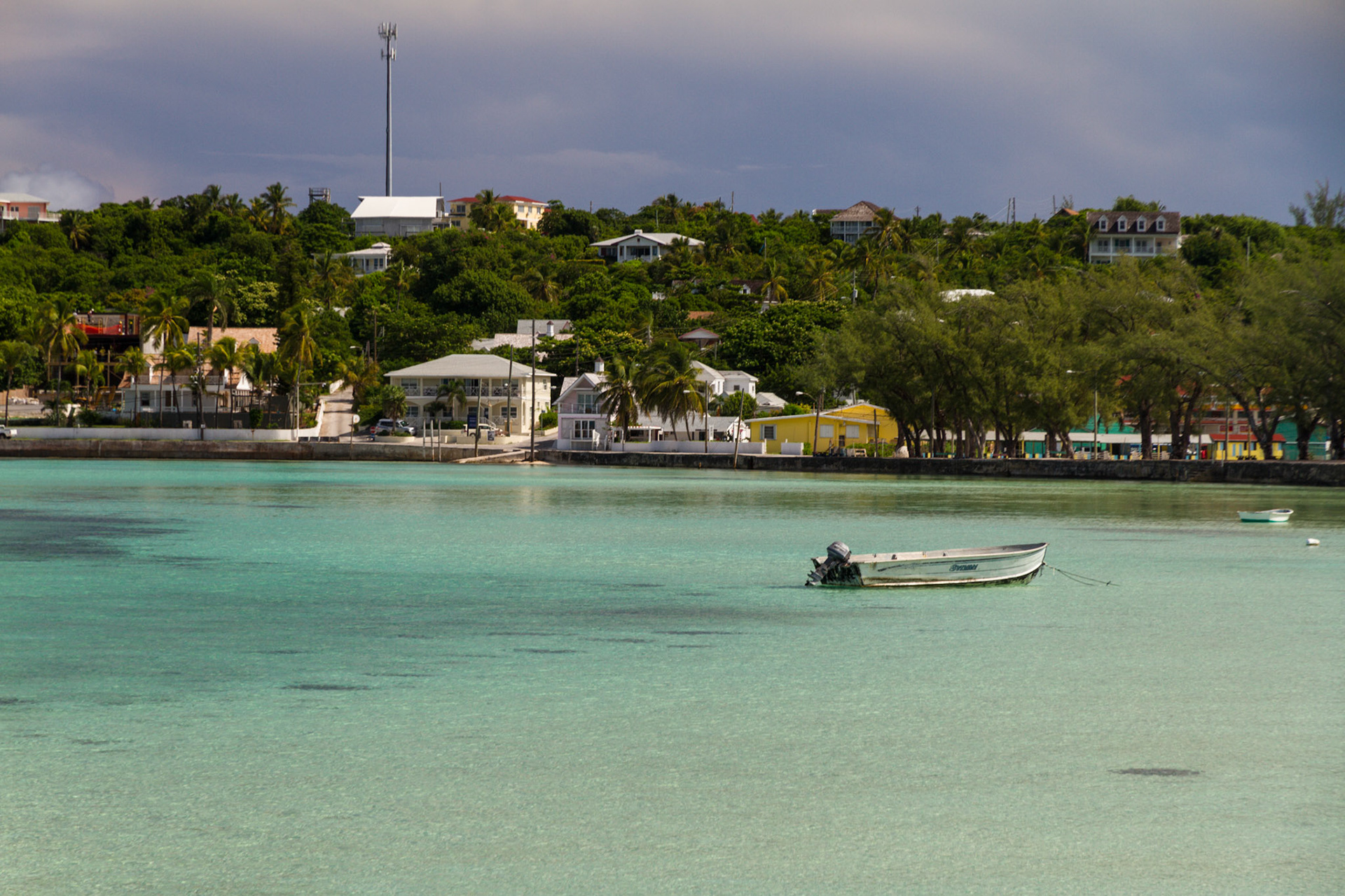 Tom Wallis - Bahamas