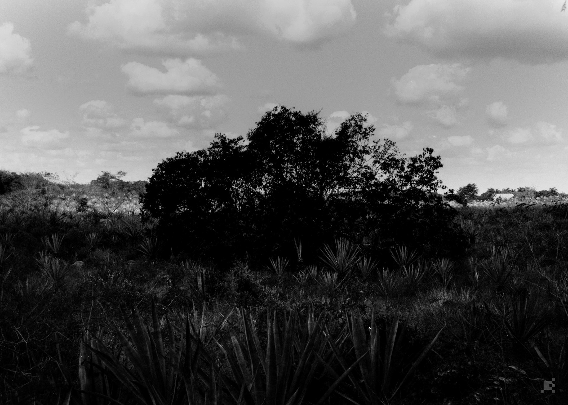 Hacienda Sotuta de Peón - Yucatán