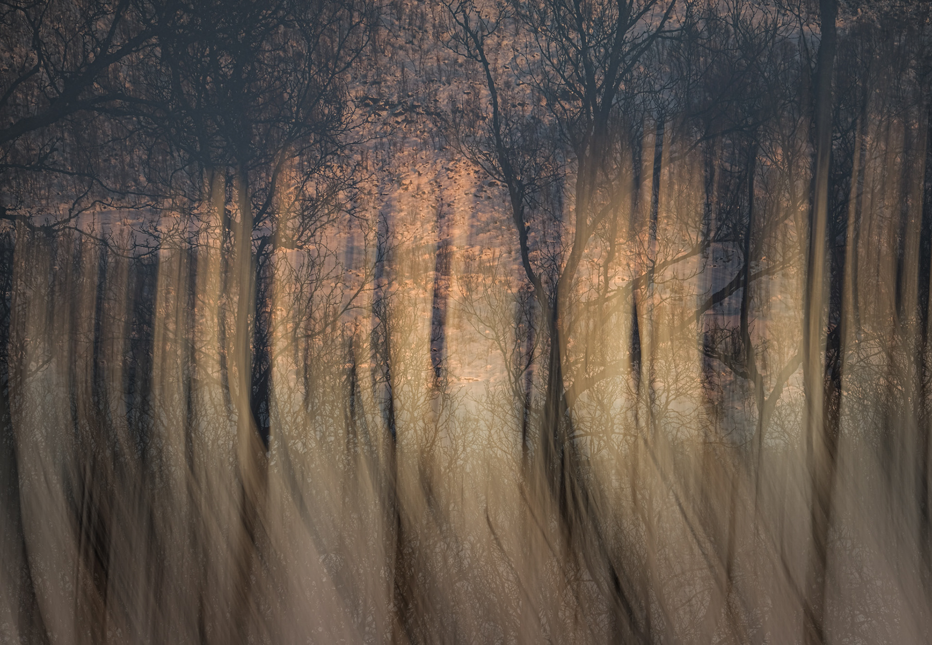 When life gets blurry... Why not!