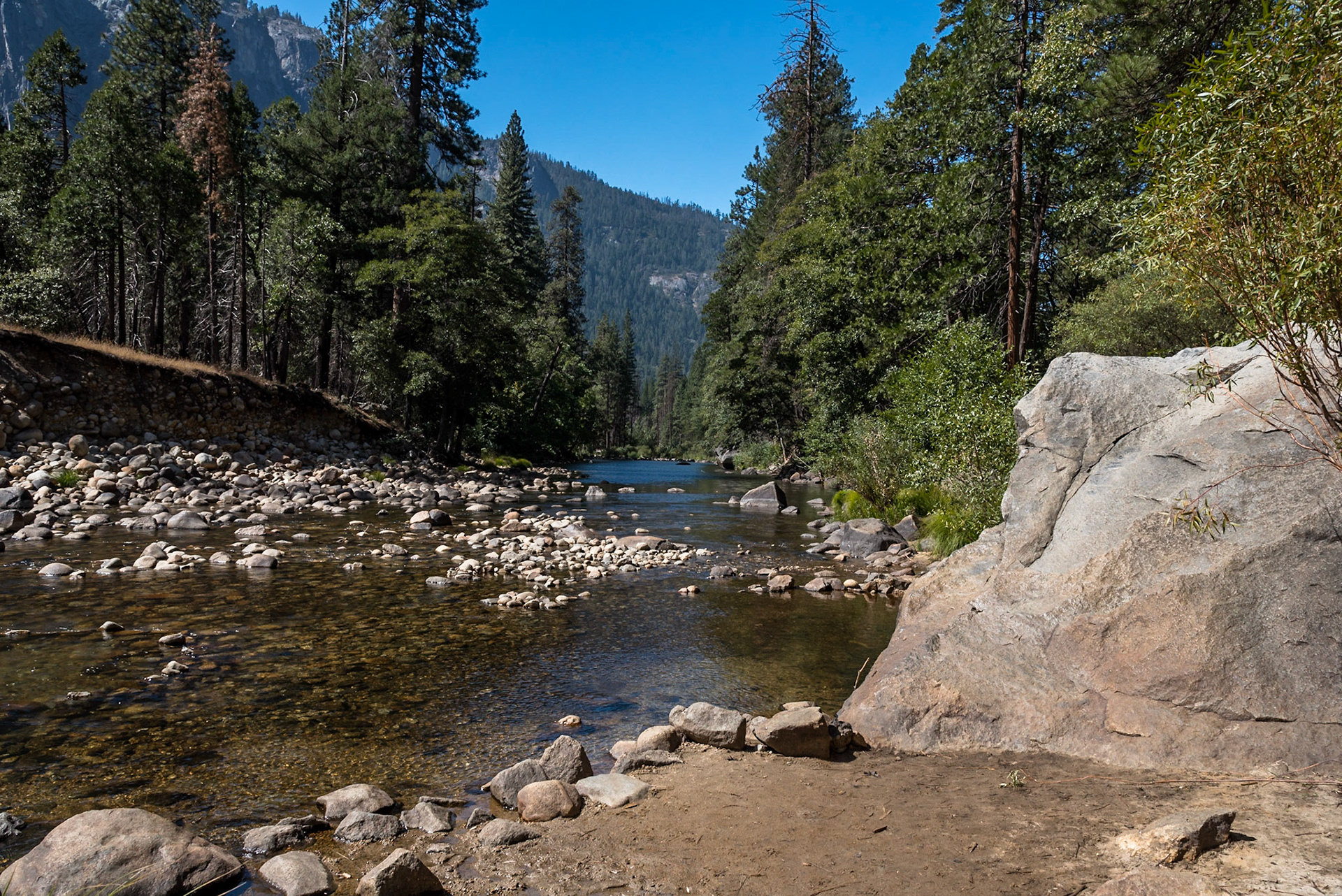 Rivers, Pine Trees & hills, Yosemite National Park, California