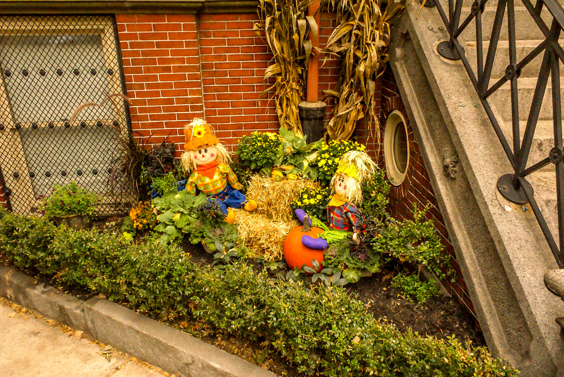 Halloween display, Boston