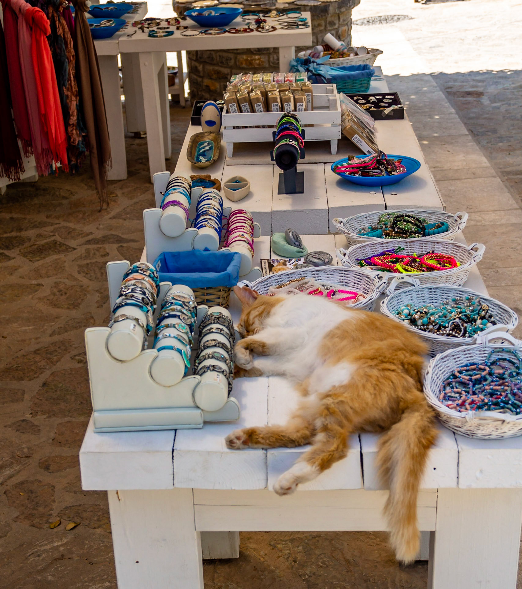 Just the right shady spot for my mid day nap!