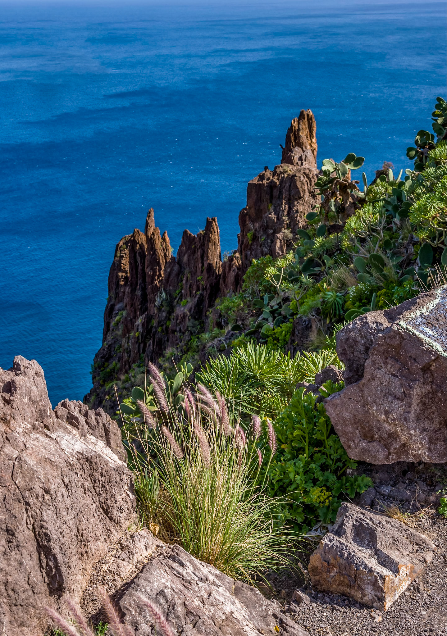 Grasses, rocks & water, Sant Cruz, Tenerife