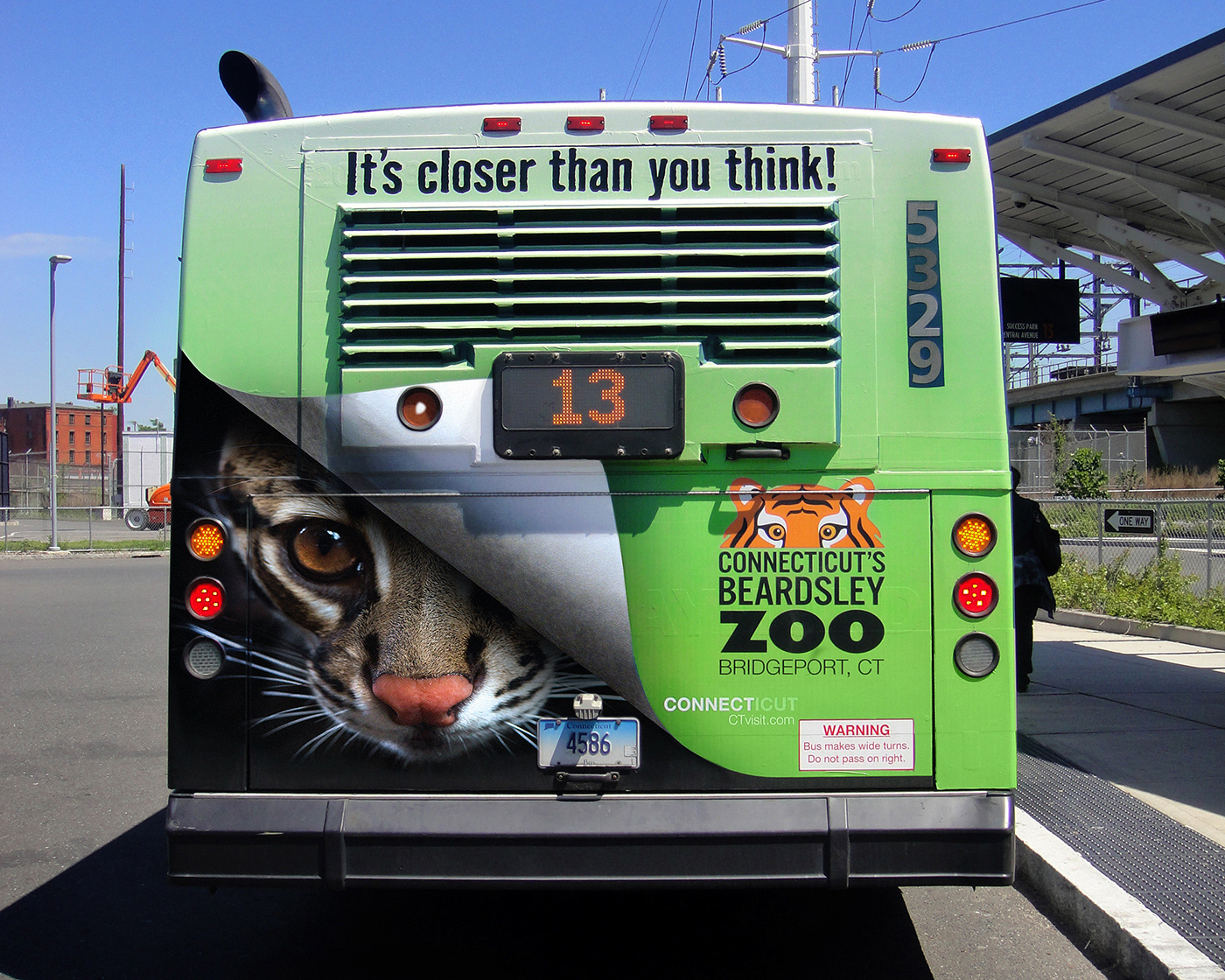 Ocelot Bus Wrap