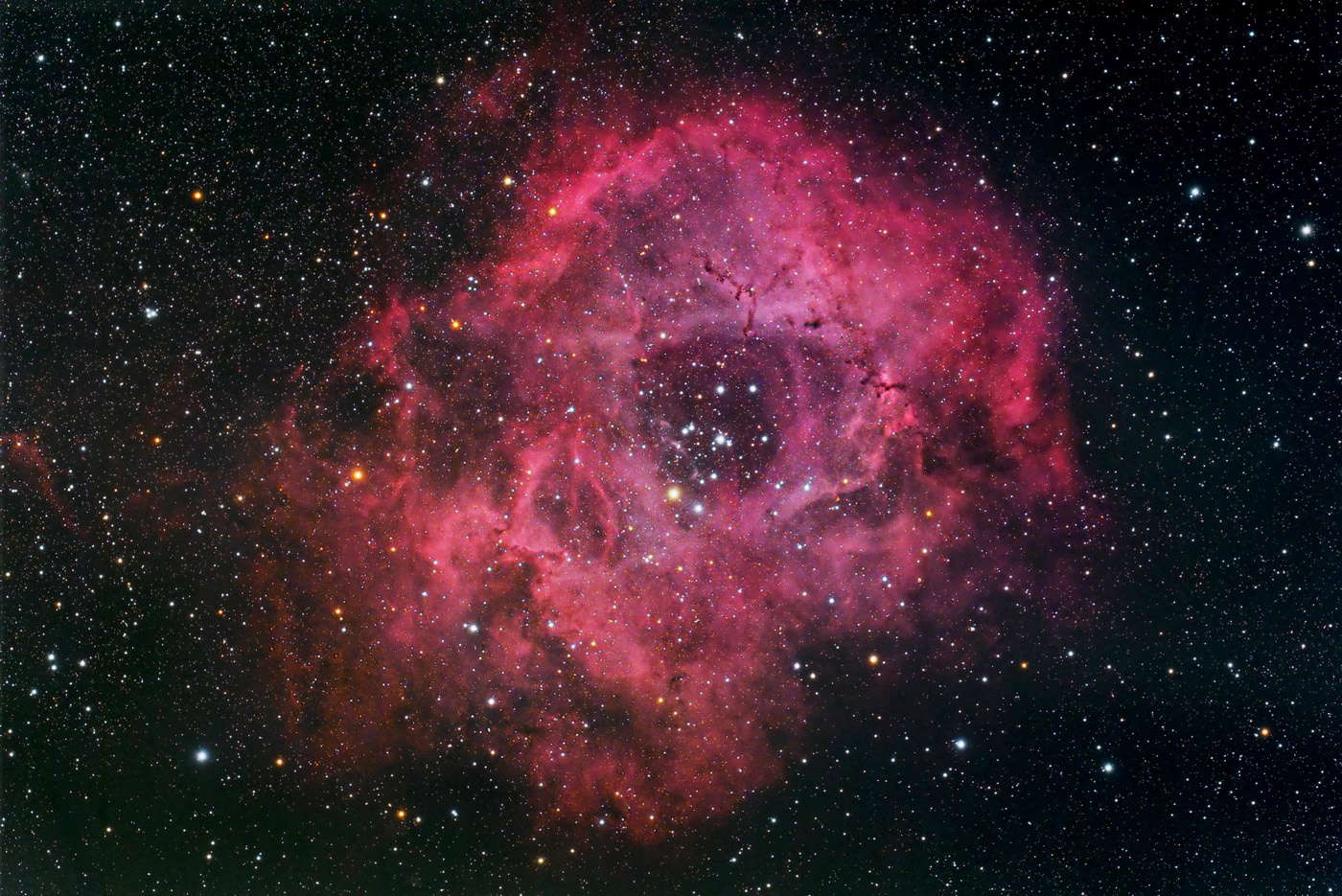 The Rosette Nebula