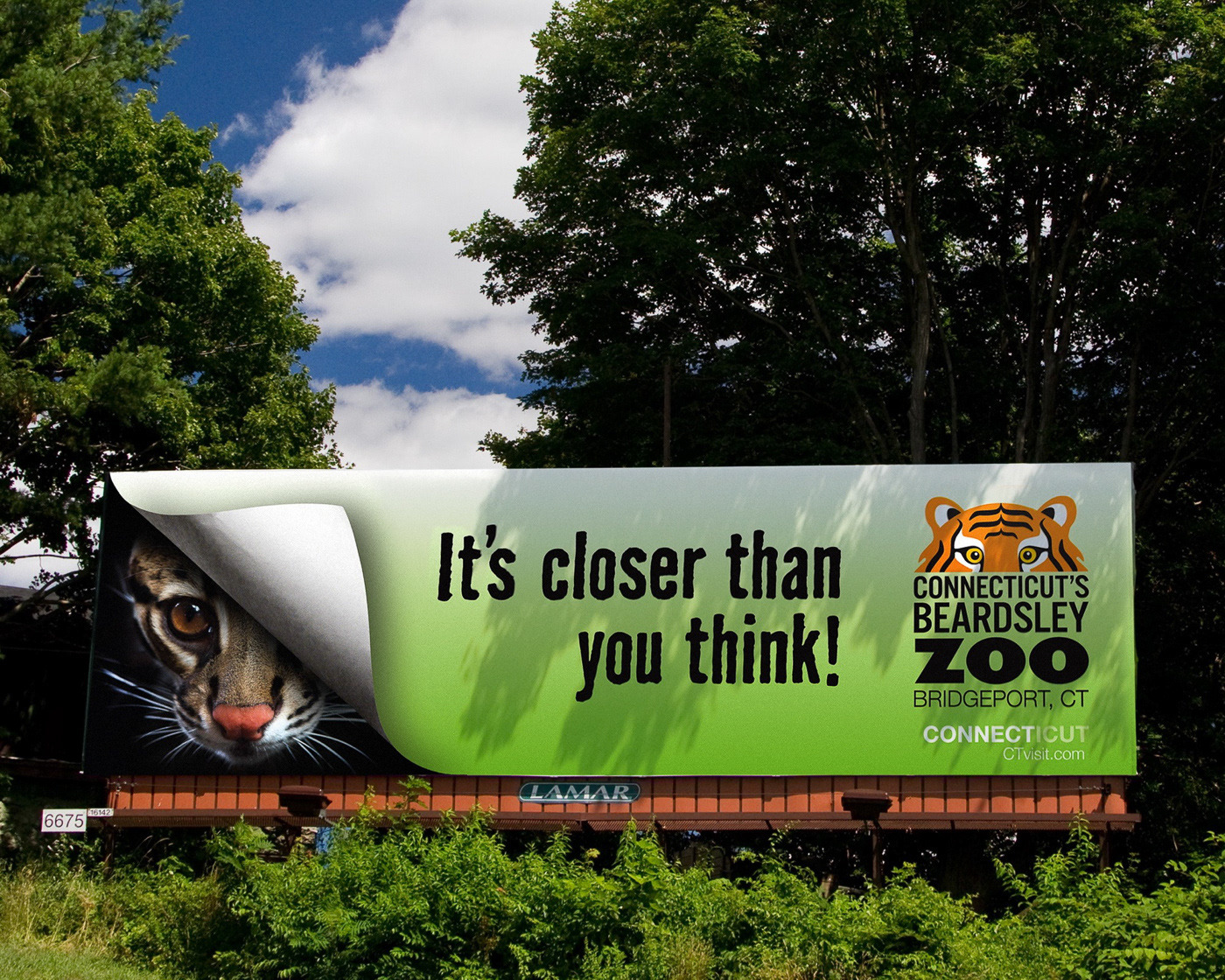 Ocelot Billboard