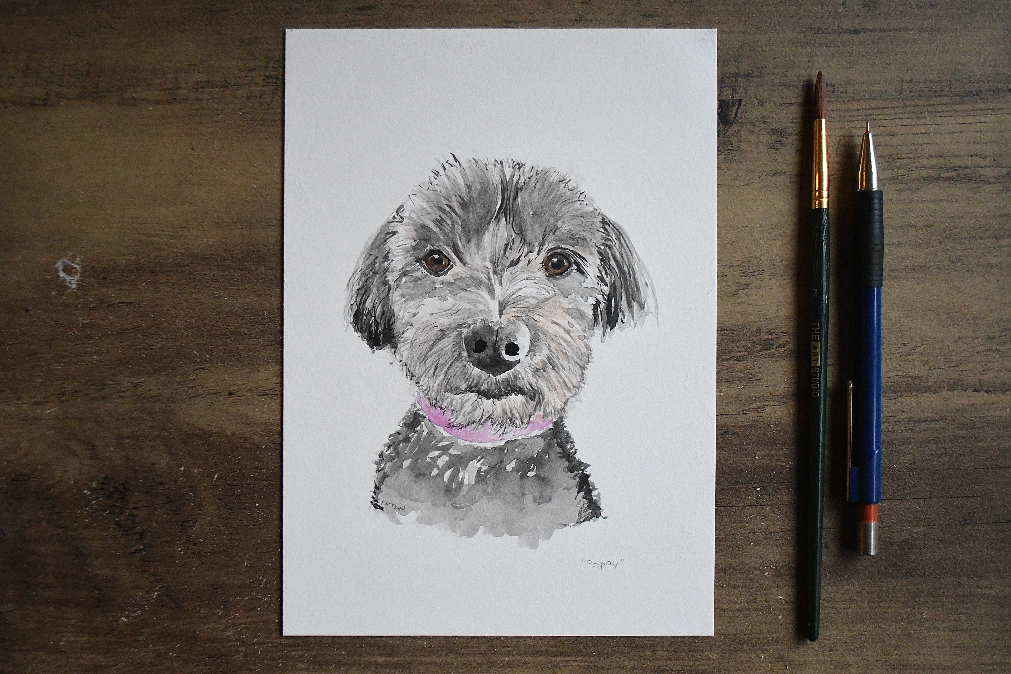 Pet Portrait - "Poppy", watercolour on A5