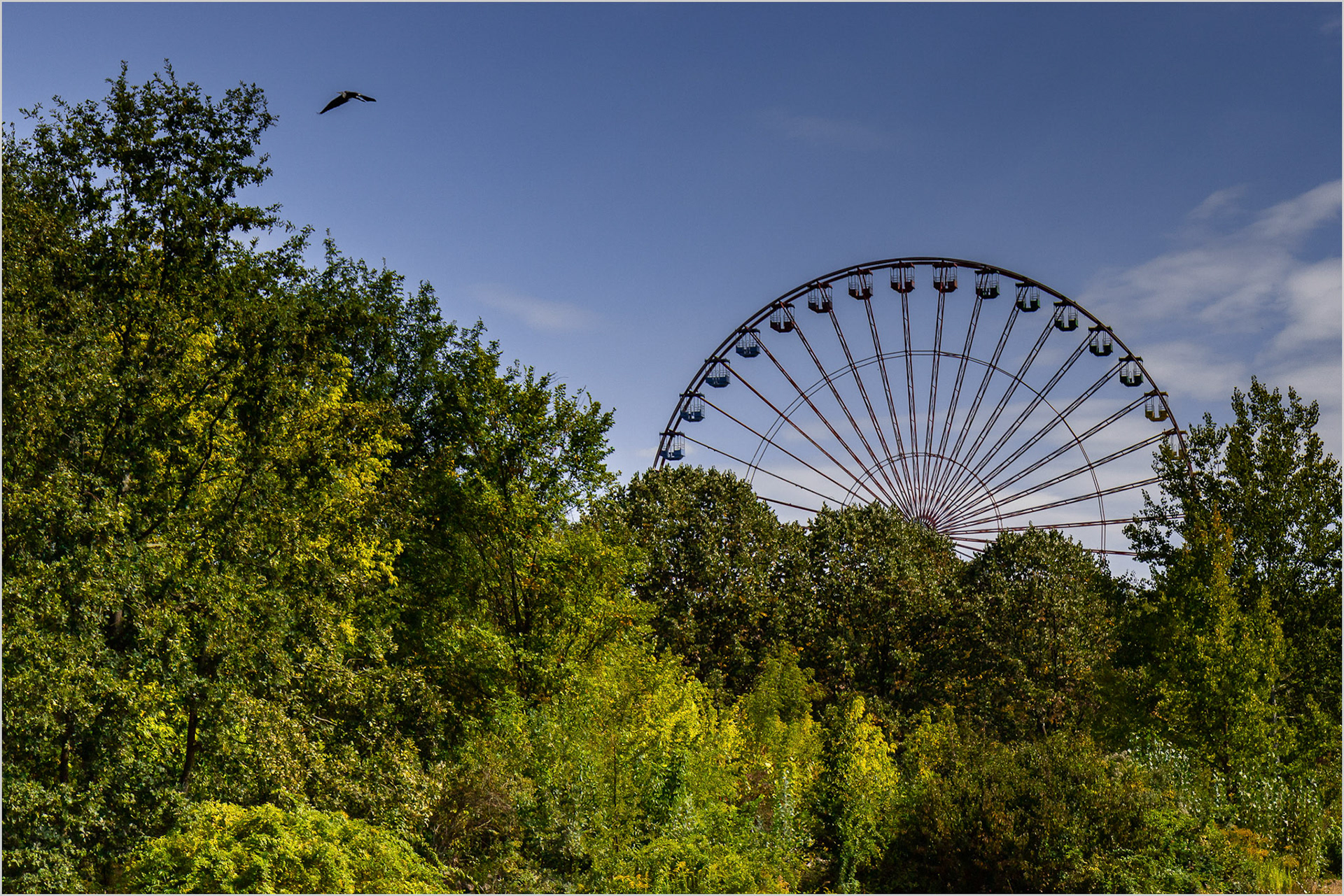 amfotografie.de Plänterwald