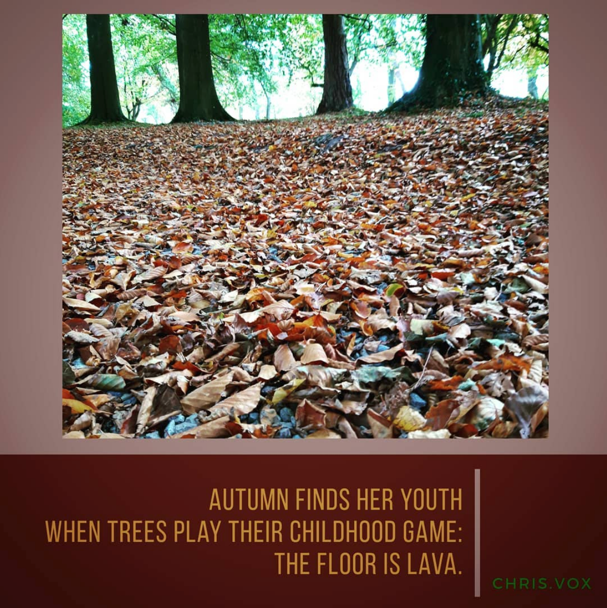 Social media post: haiku to autumn.