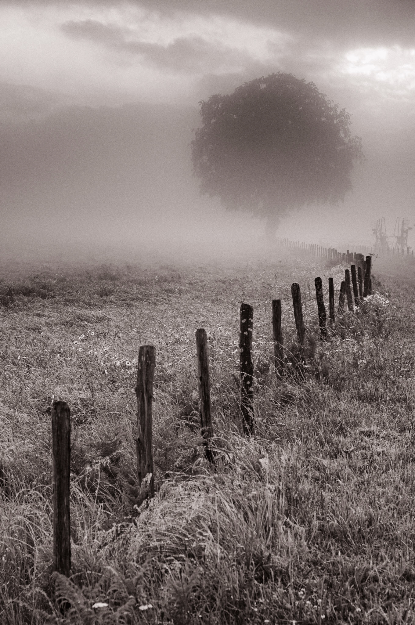 Foggy mornimg,  Badailhac  Auvergne