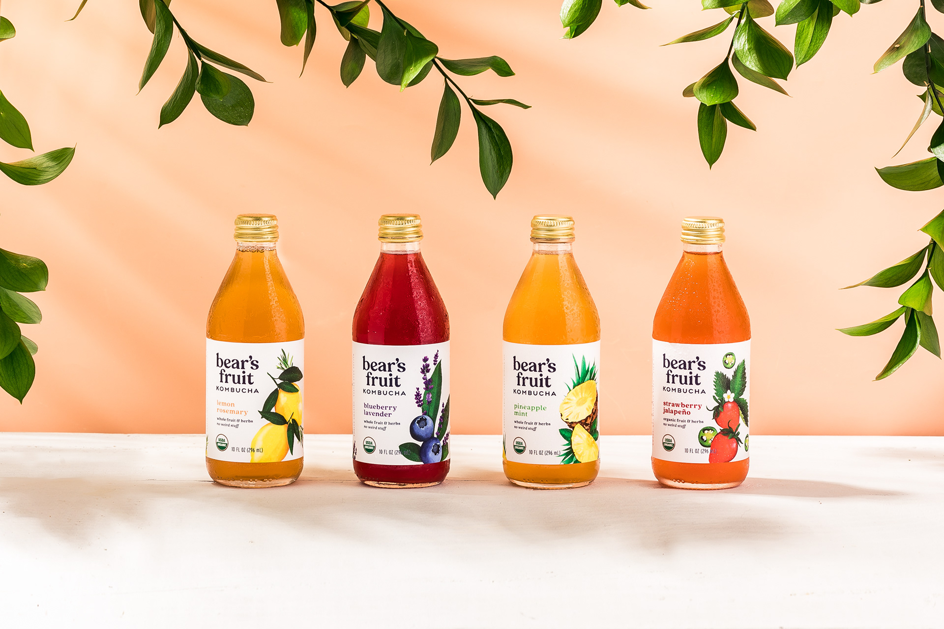 CREATIVES IN RESIDENCE PHOTO AGENCY, NYC BEAR'S FRUIT KOMBUCHA