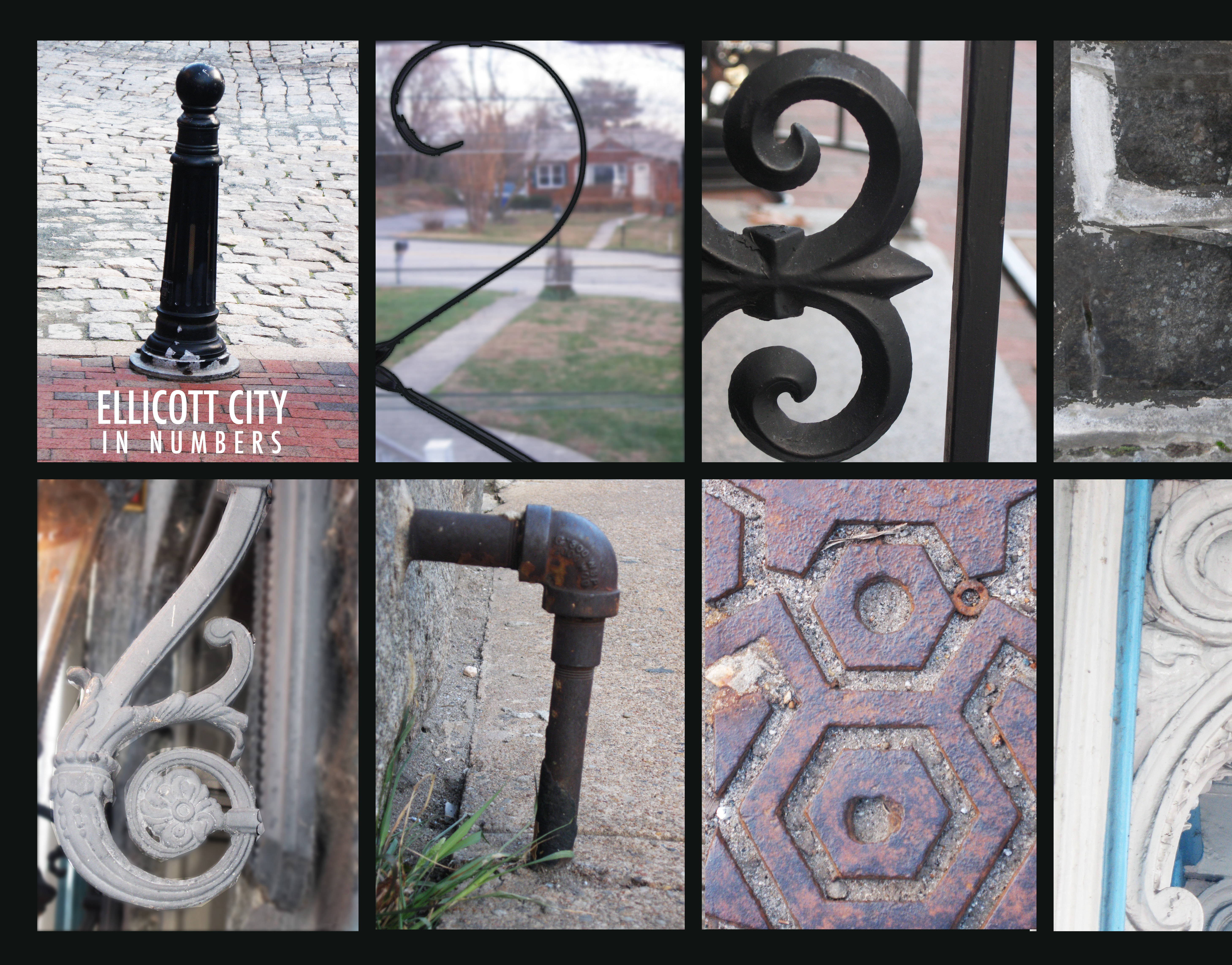 Ipek Davaz Ellicott City in Numbers