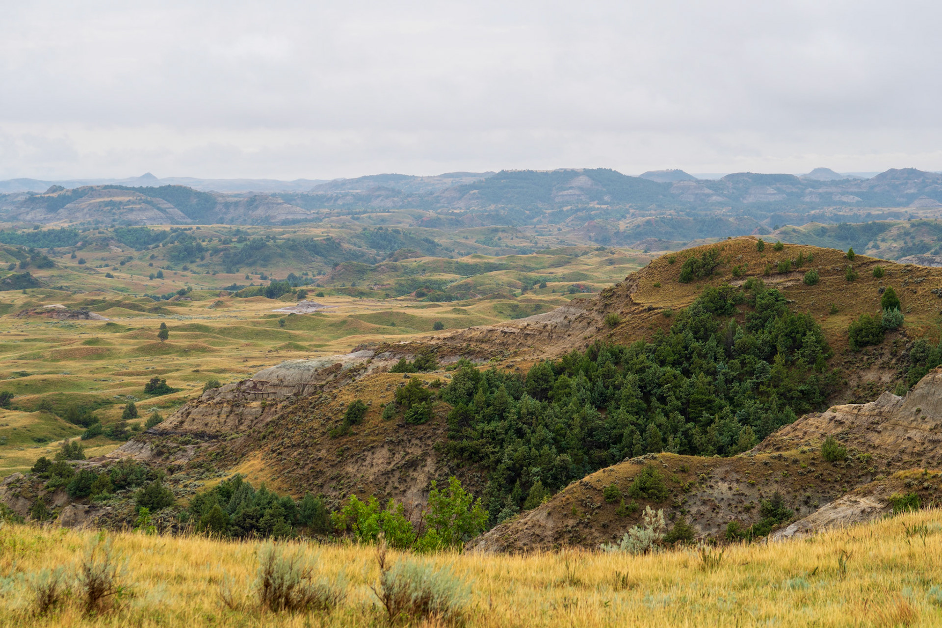 Tom Sather Photography - Theodore Roosevelt National Park