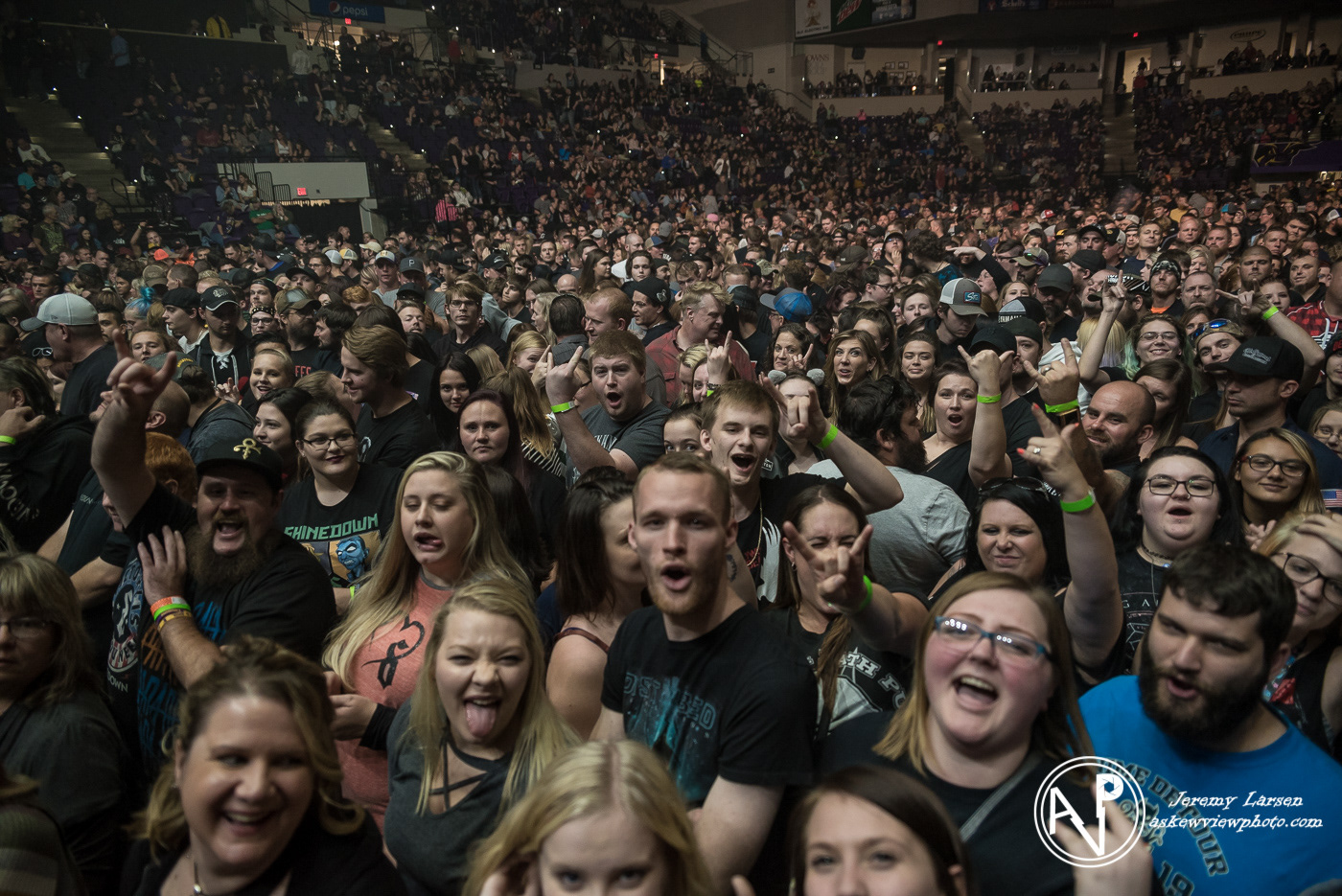 Crowd for Shinedown