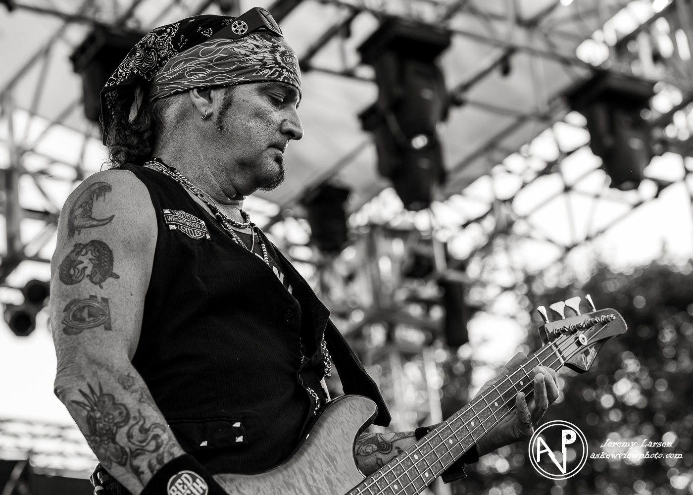 Great White