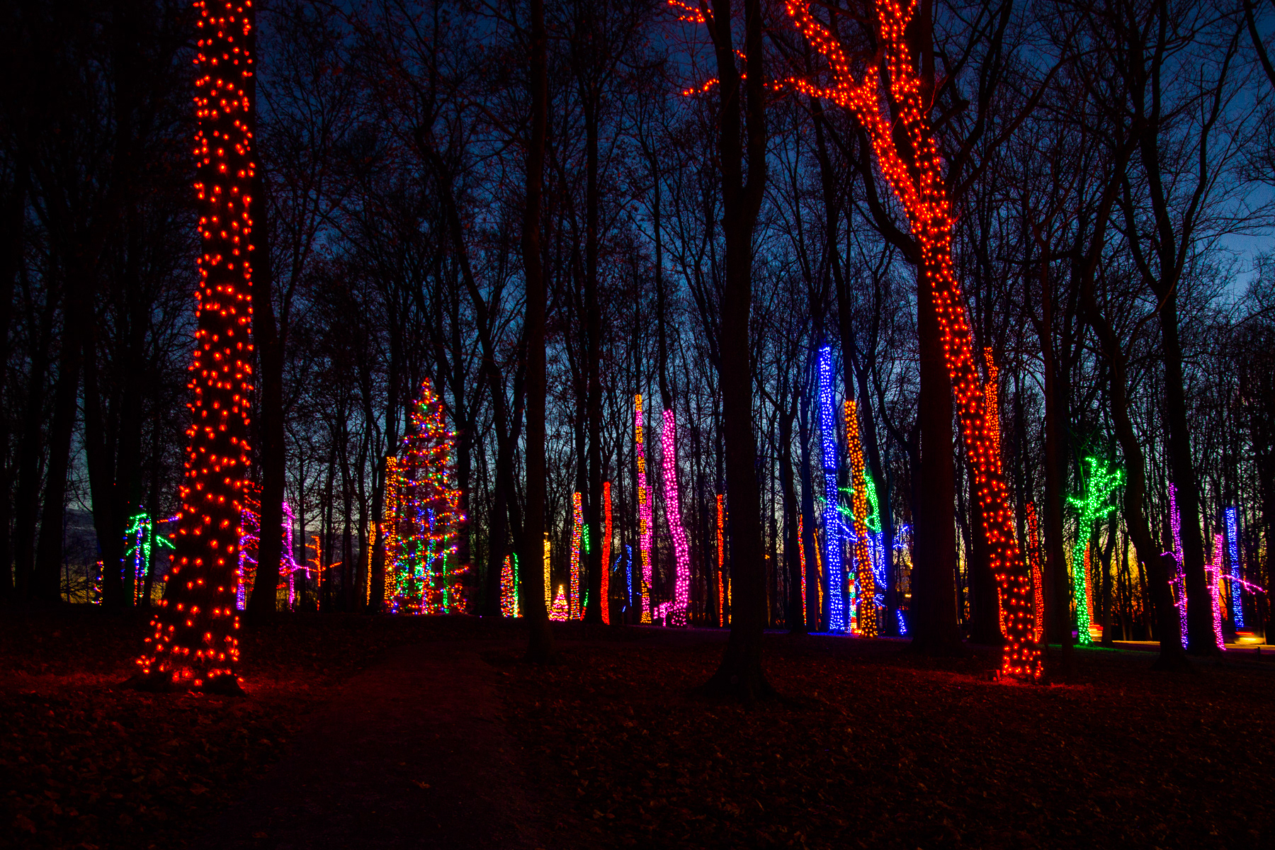 Life To Lens Photography Herr's Snack Factory Holiday Lights 2017