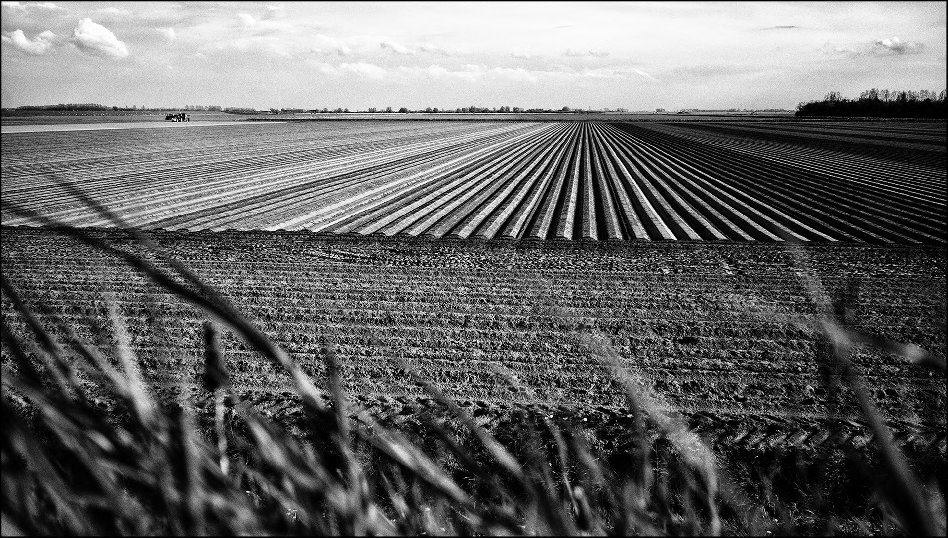 Groningen Aardappelveld