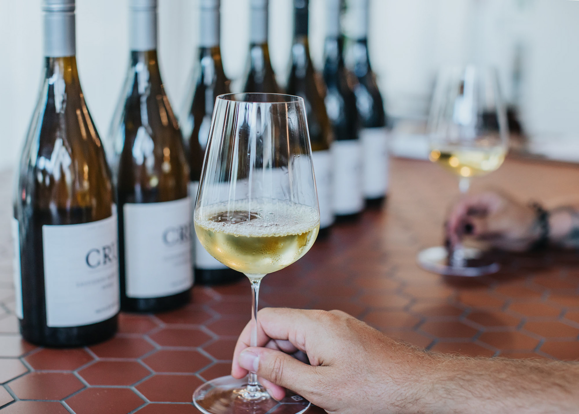 A white wine tasting