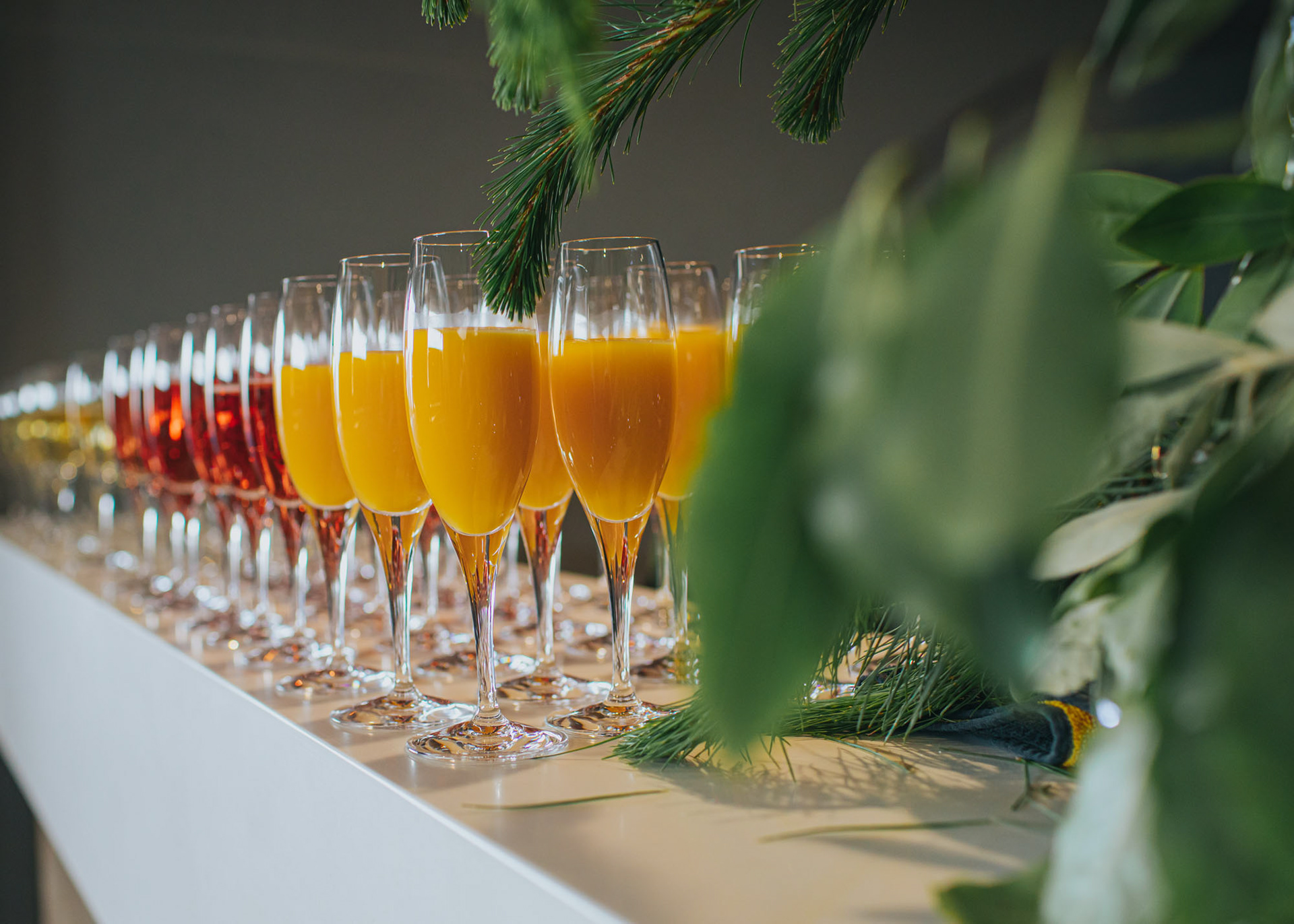 Refreshments poured and ready for guests