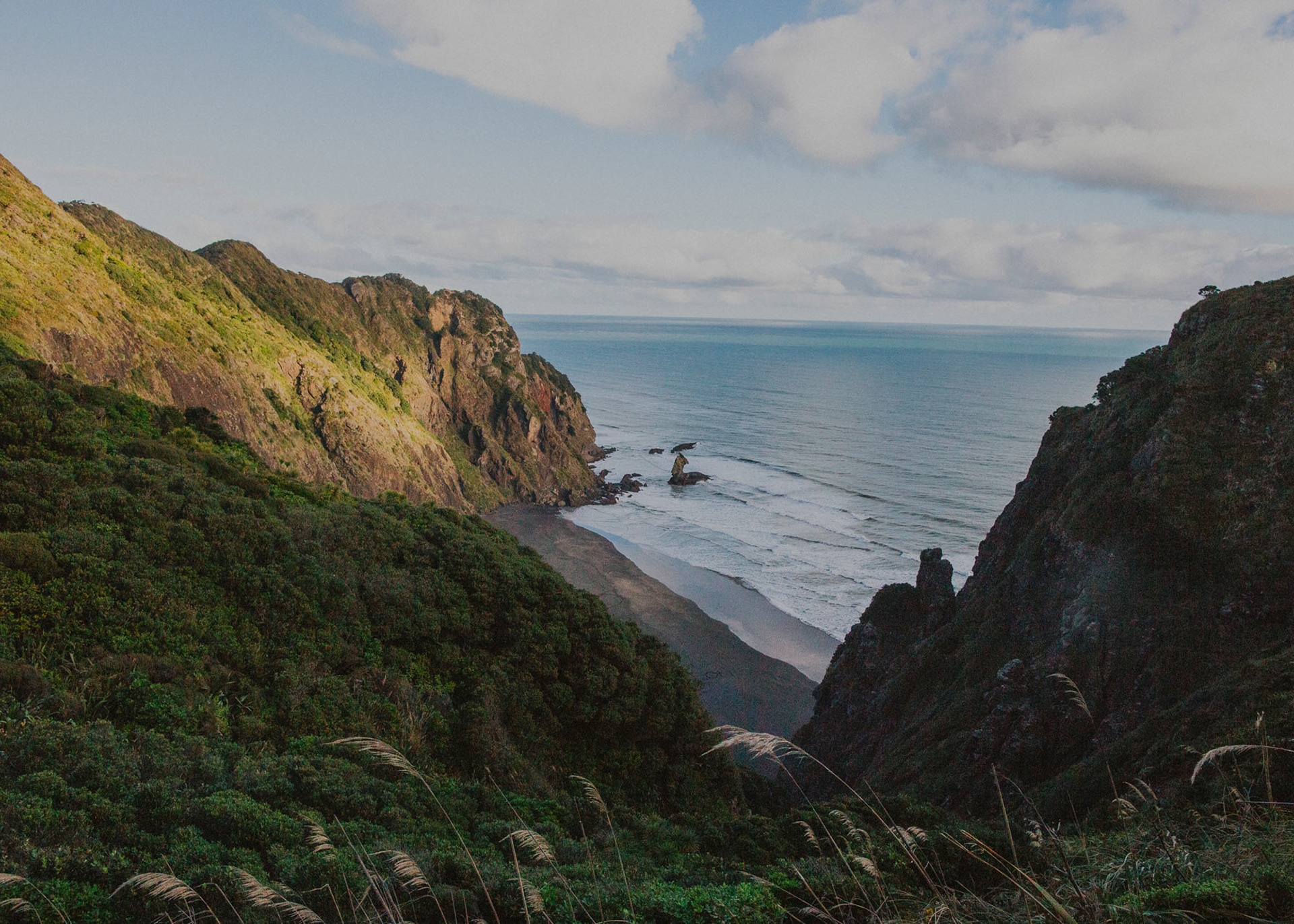 West cost cliffs, Auckland