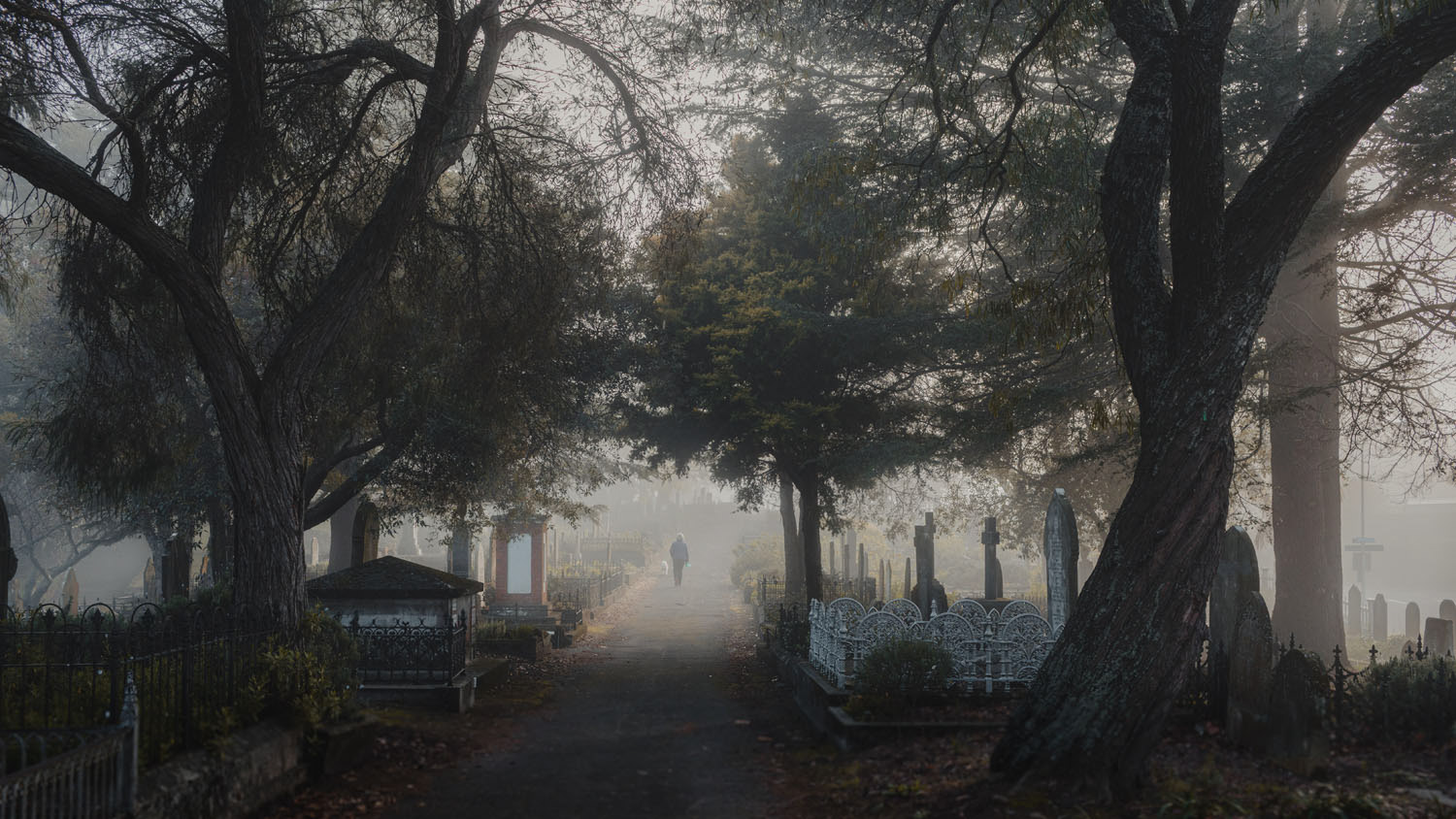 Napier's historic cemetery on a foggy winter's morning