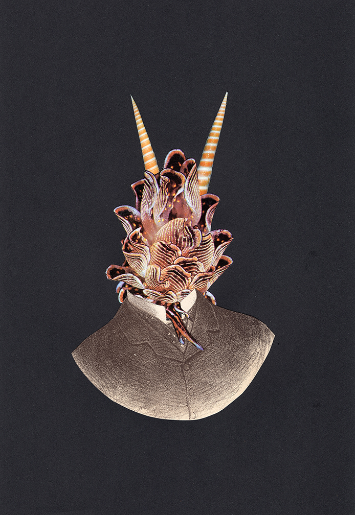 Fabulous Monster 11 . AR remixer Anna Malina