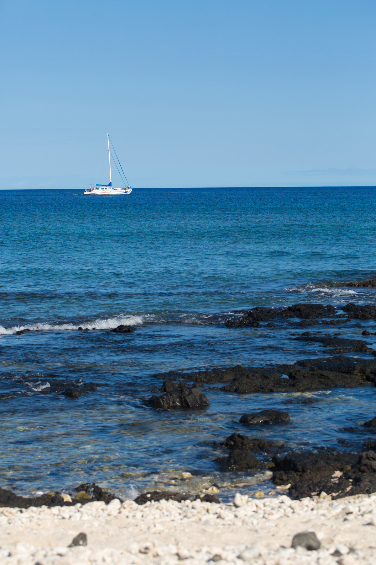 Hilton Hawaiian Village - Beach
